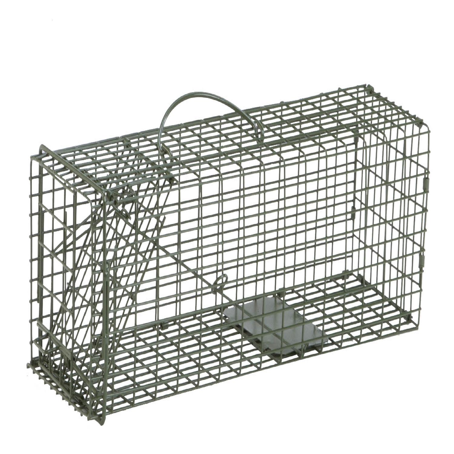  Duke Small Live Catch Cage Trap For Squirrels 1 Pk