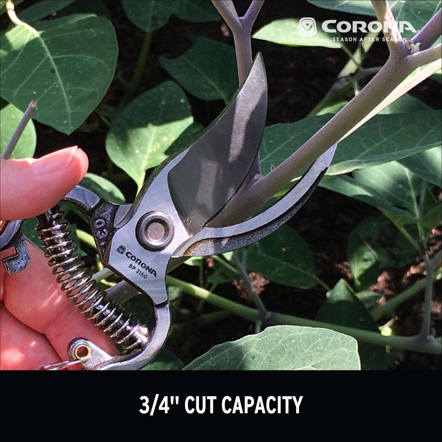  Corona Classic Cut 8 In. Steel Bypass Pruners
