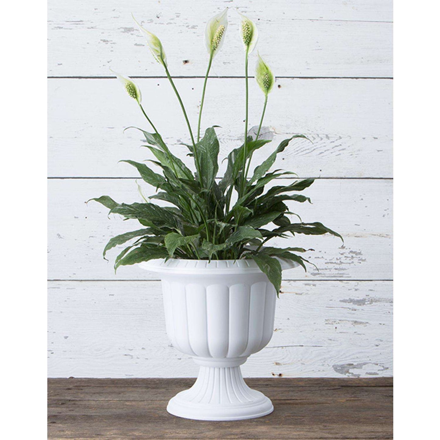  Novelty 19 In. H X 19 In. W X 19 In. D X 19 In. D Resin Classic Urn Urn Planter White