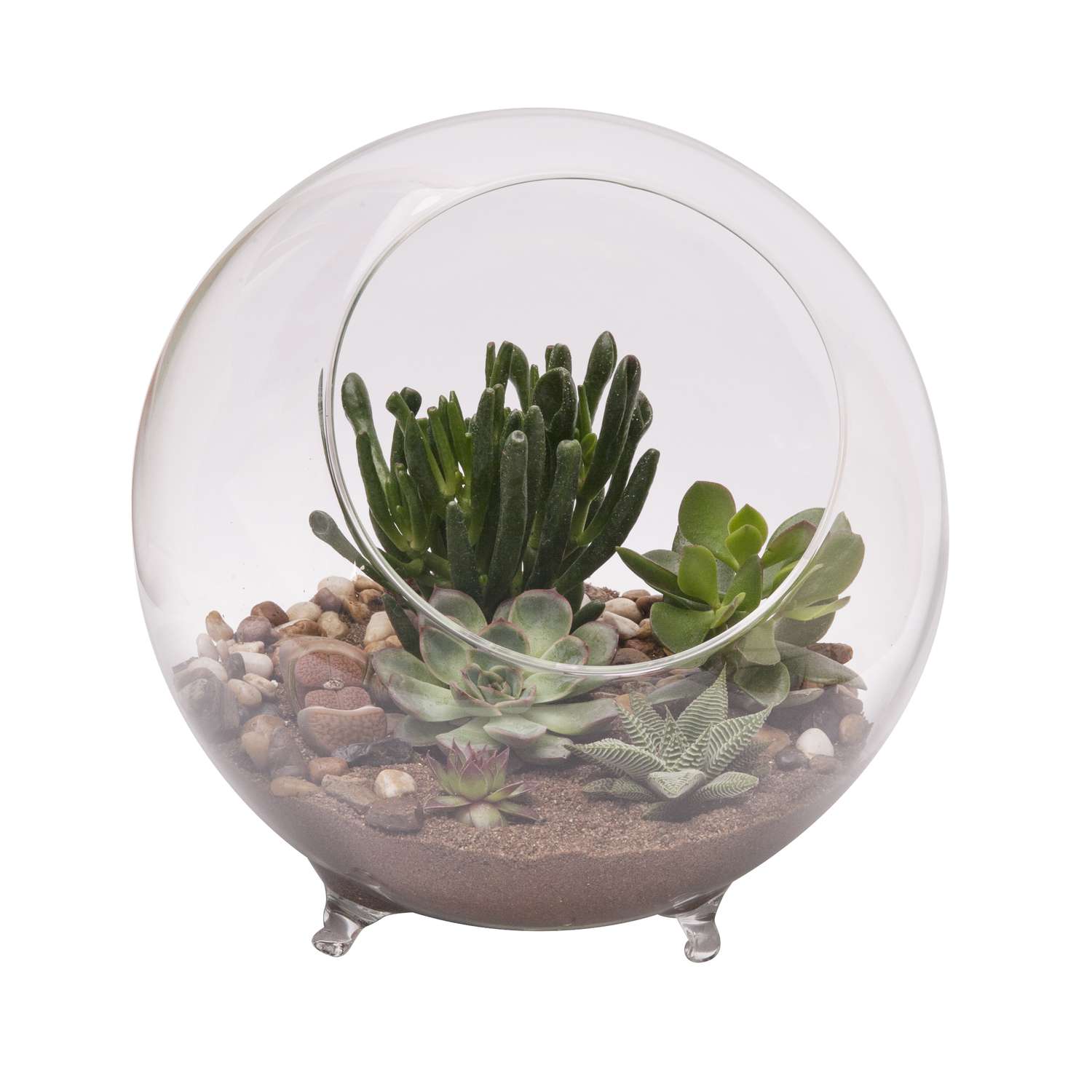  Panacea 9.5 In. H X 10.25 In. D Glass Sphere Terrarium With Feet Clear