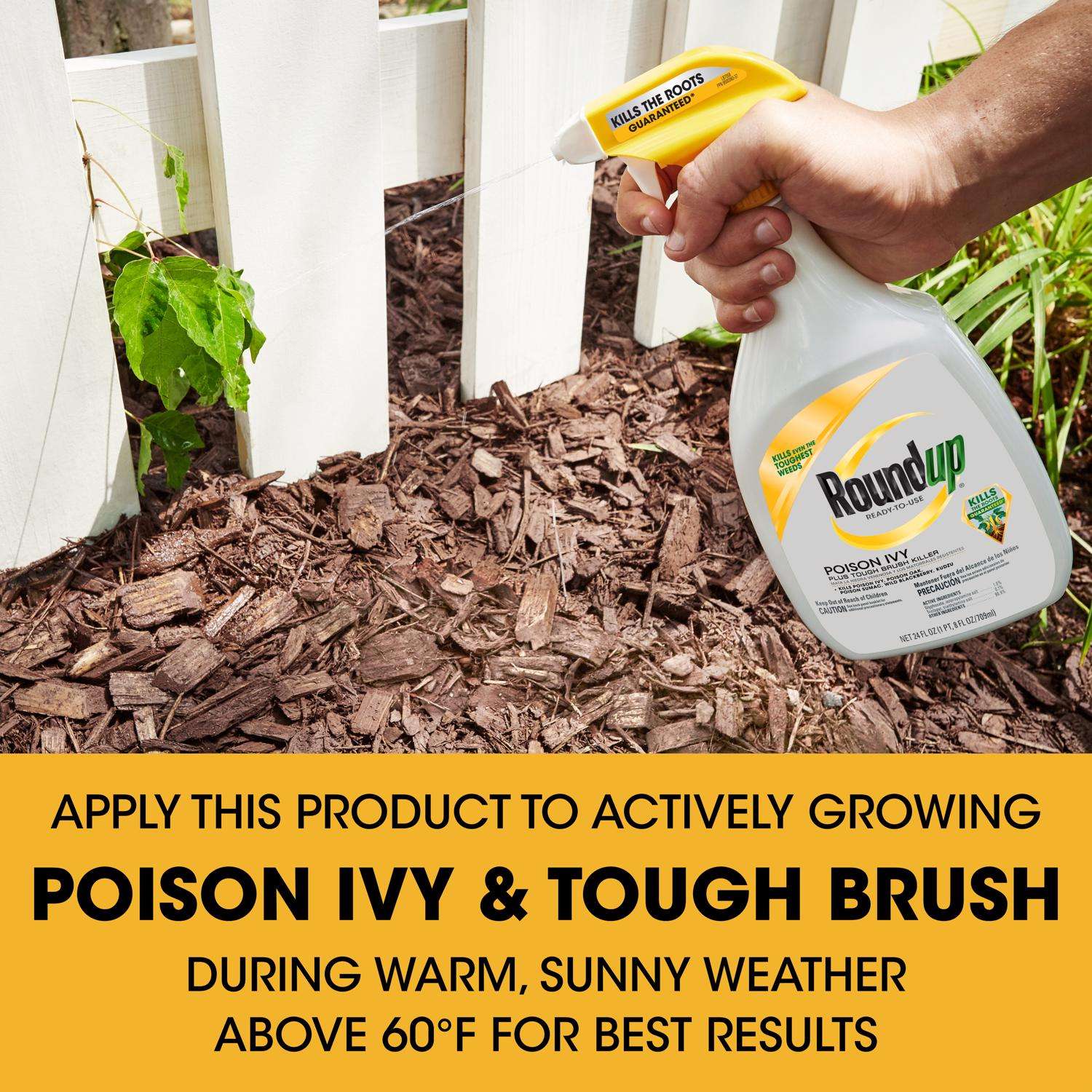  Roundup Poison Ivy Killer RTU Liquid 24 Oz