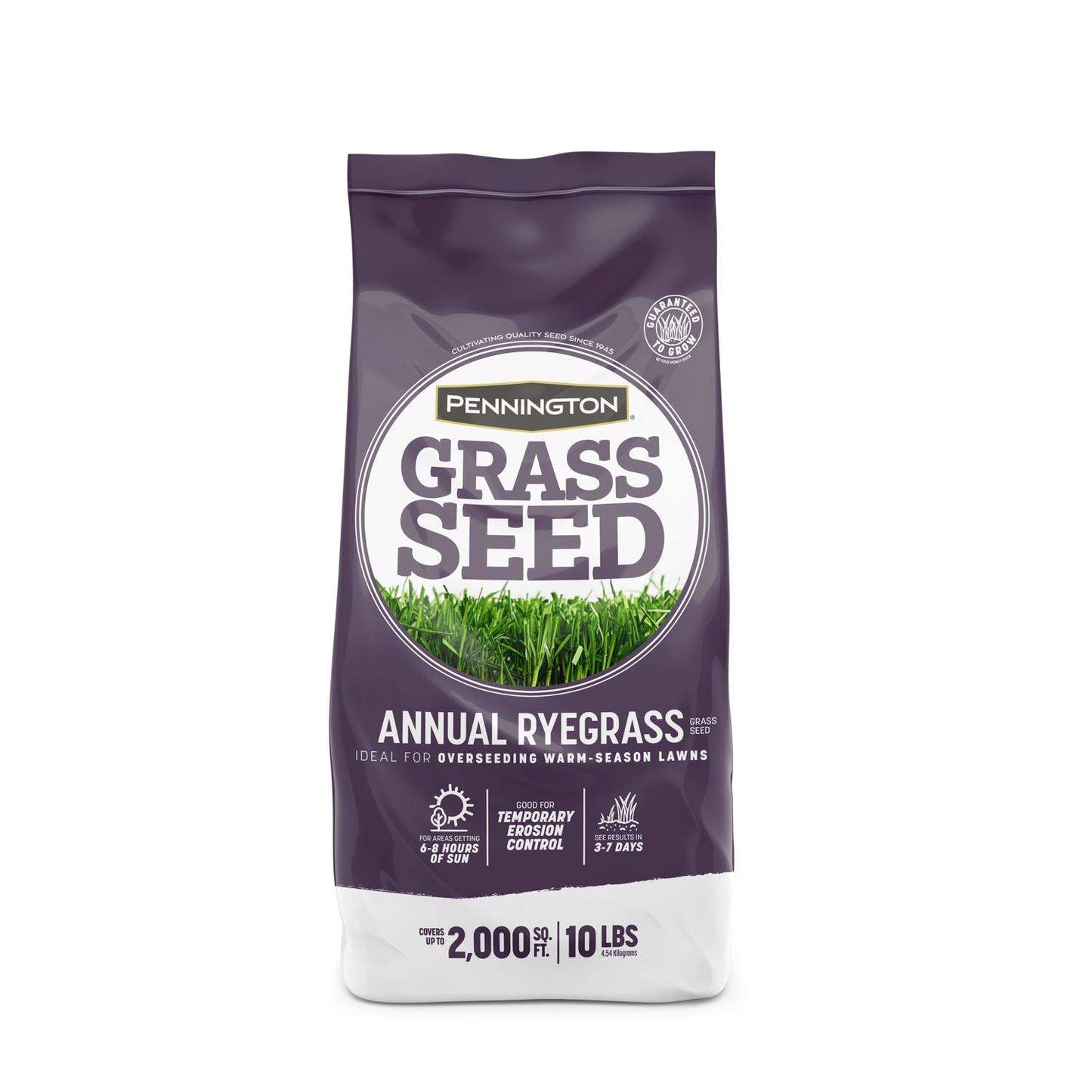  Pennington Annual Ryegrass Sun Or Shade Grass Seed 10 Lb