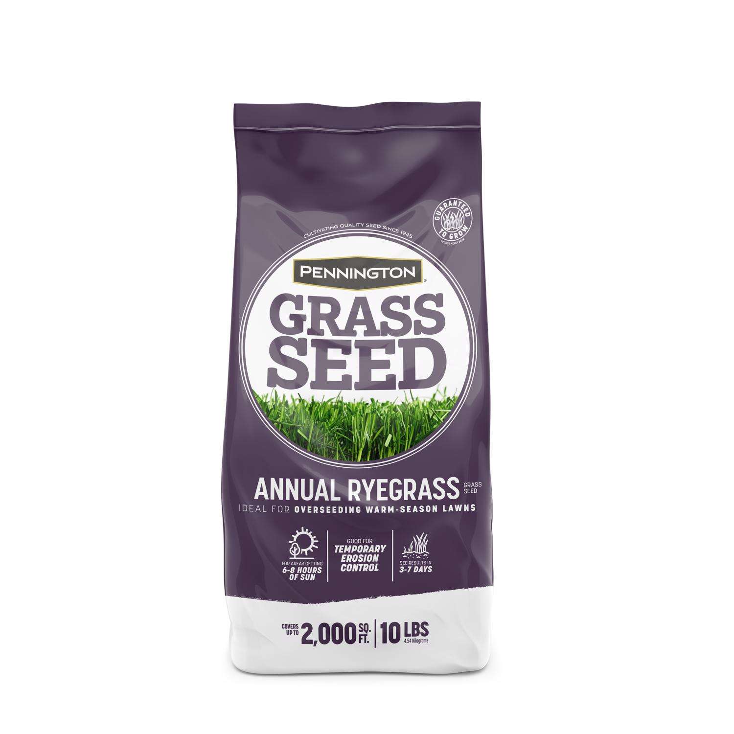  Pennington Annual Ryegrass Sun Or Shade Grass Seed 10 Lb