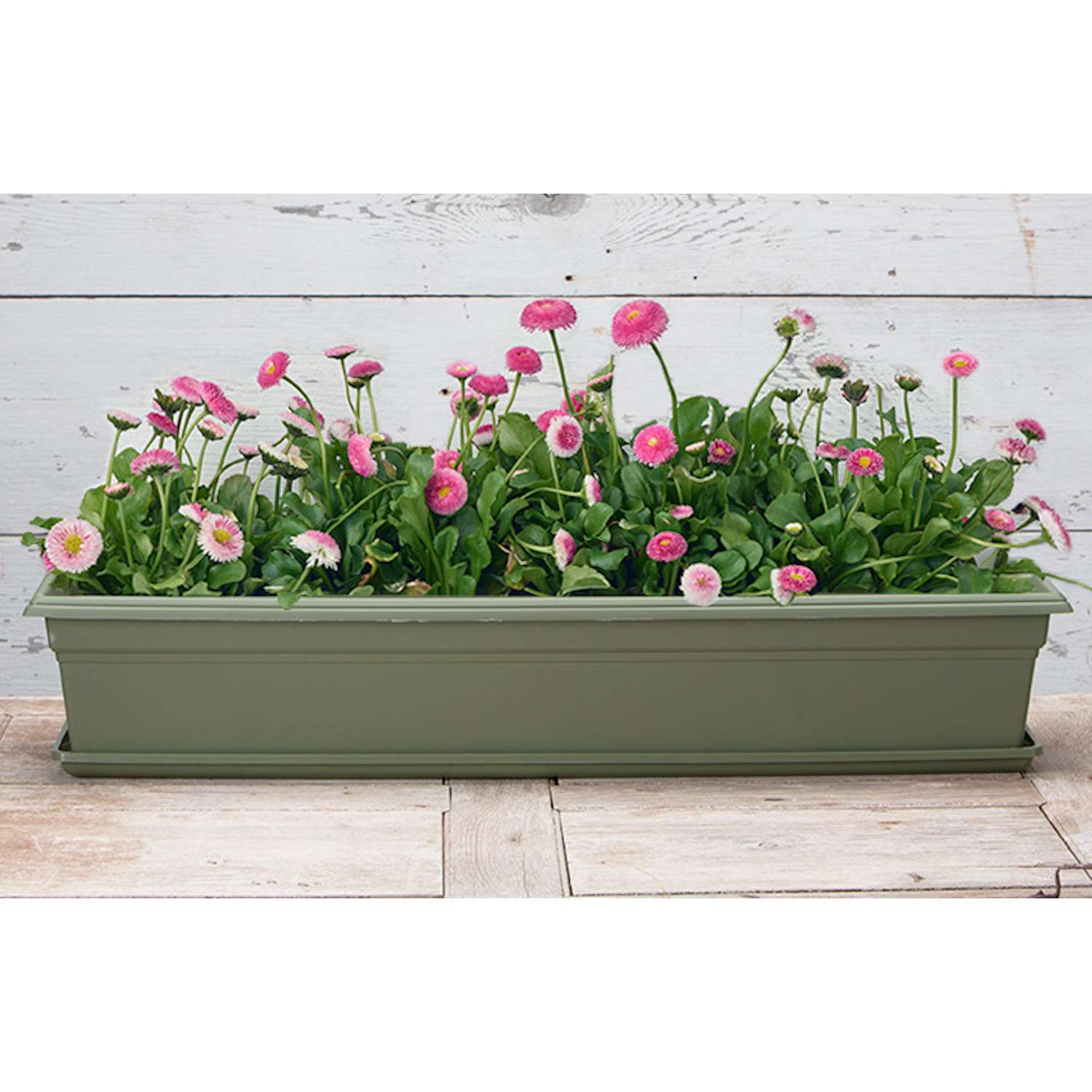  Novelty 6.4 In. H X 35.8 In. W X 8 In. D Plastic Countryside Flowerbox Flower Box Sage