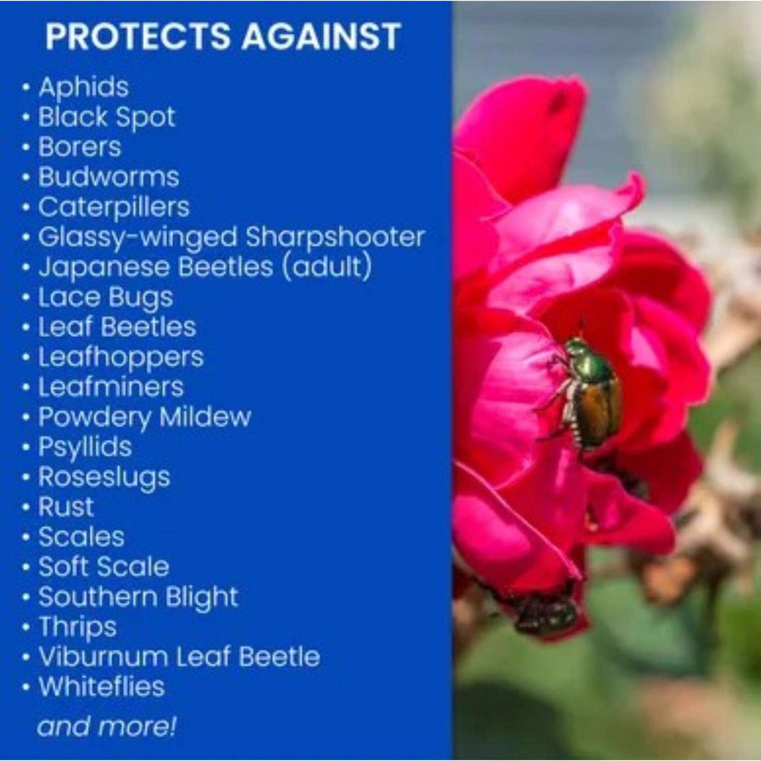  BioAdvanced Rose & Flower Care Granules Plant Food 4 Lb