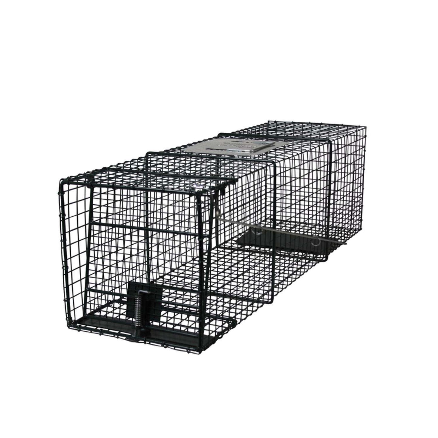  Intruder Relocator Extra Large Live Catch Animal Trap For Foxes 1 Pk