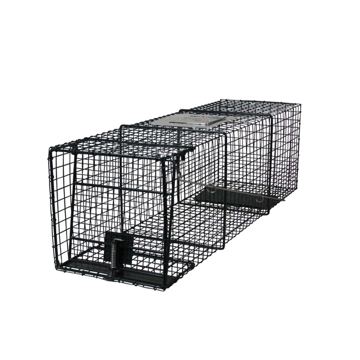  Intruder Relocator Extra Large Live Catch Animal Trap For Foxes 1 Pk