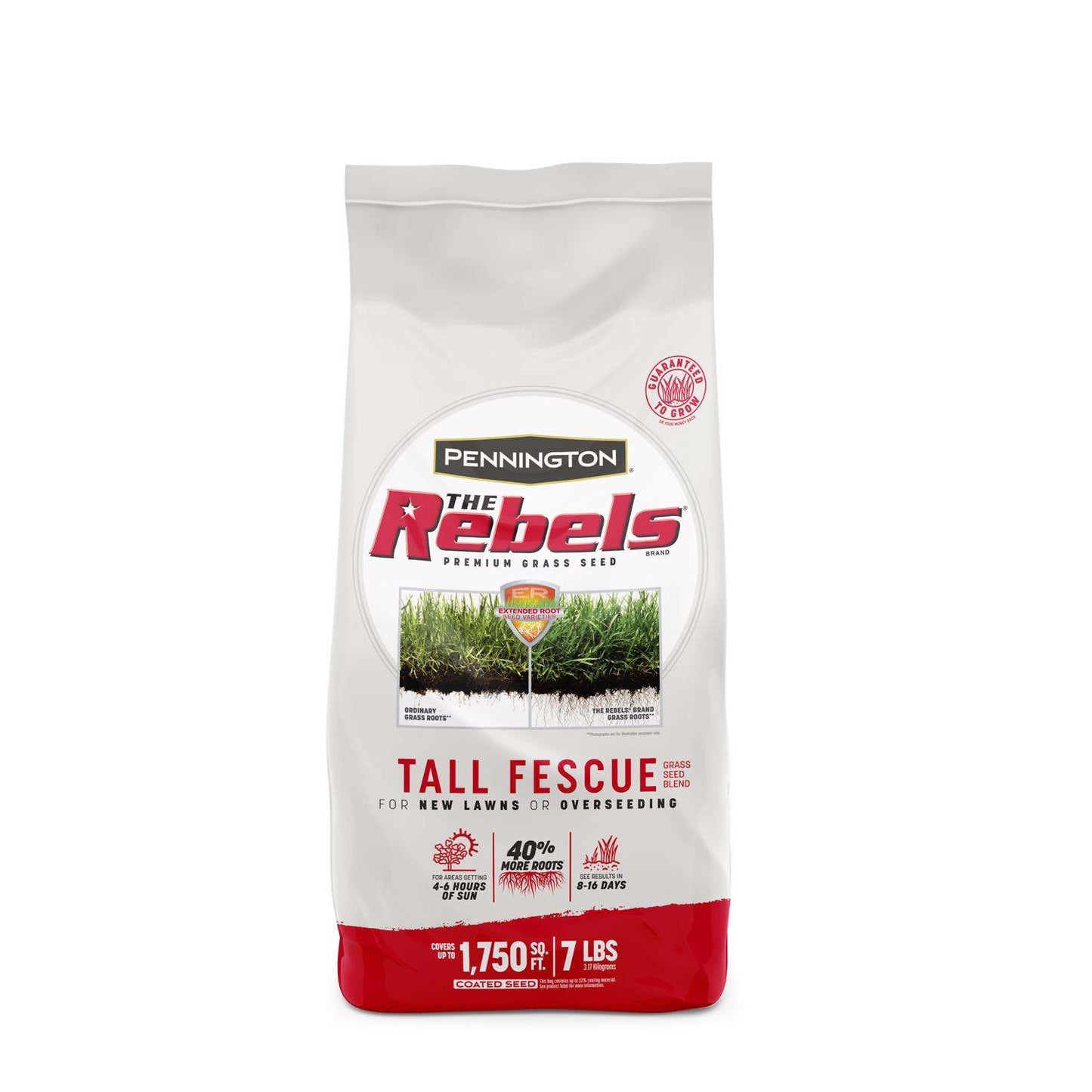  Pennington The Rebels Tall Fescue Grass Sun Or Shade Grass Seed 7 Lb