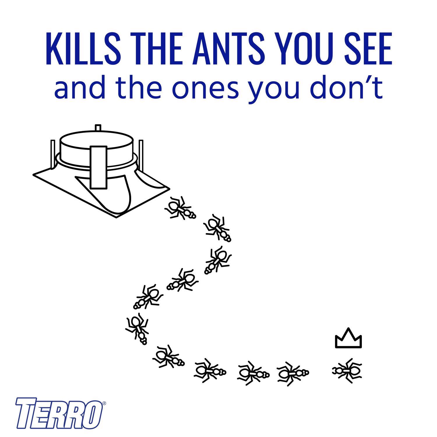  TERRO Ant Bait 4 Pk