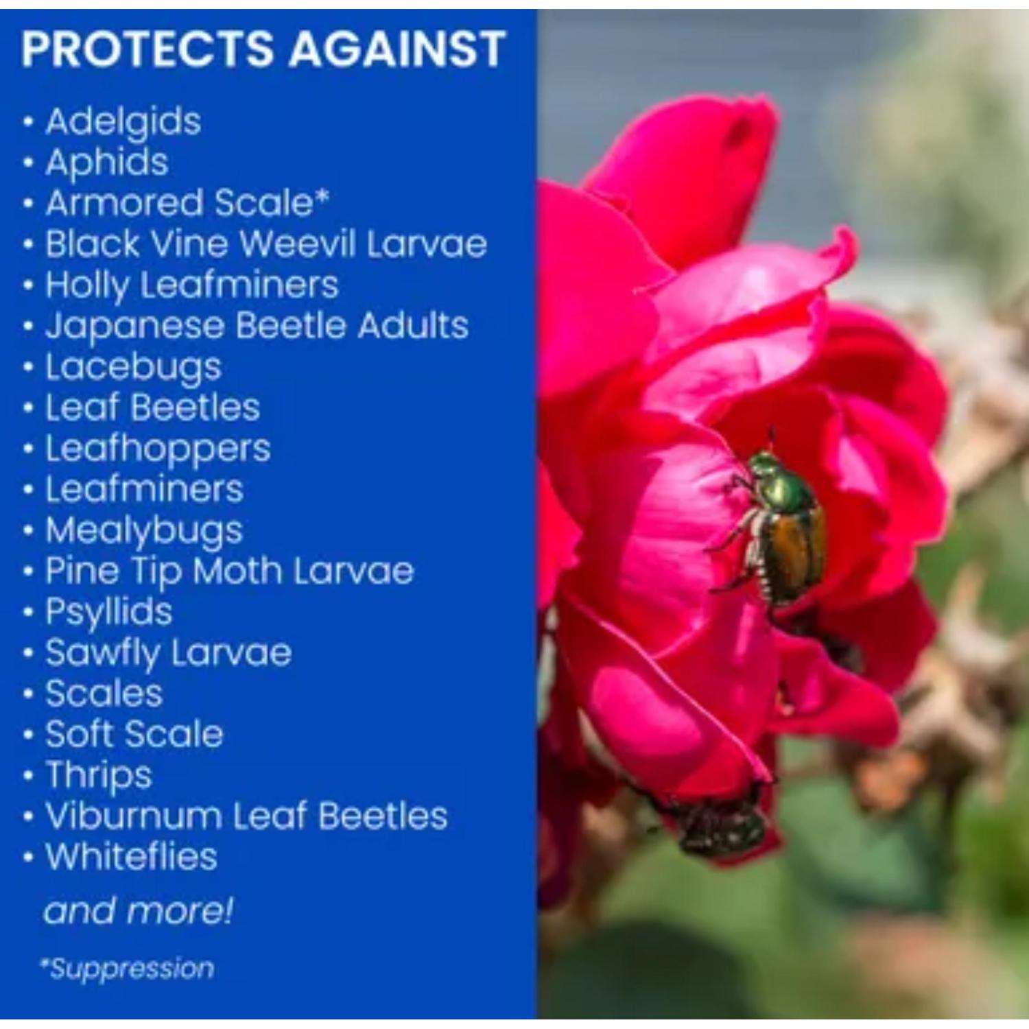  BioAdvanced 2-in-1 Systemic Roses And Flowers 6-9-6 Rose & Flower Fertilizer/Insecticide 10 Lb