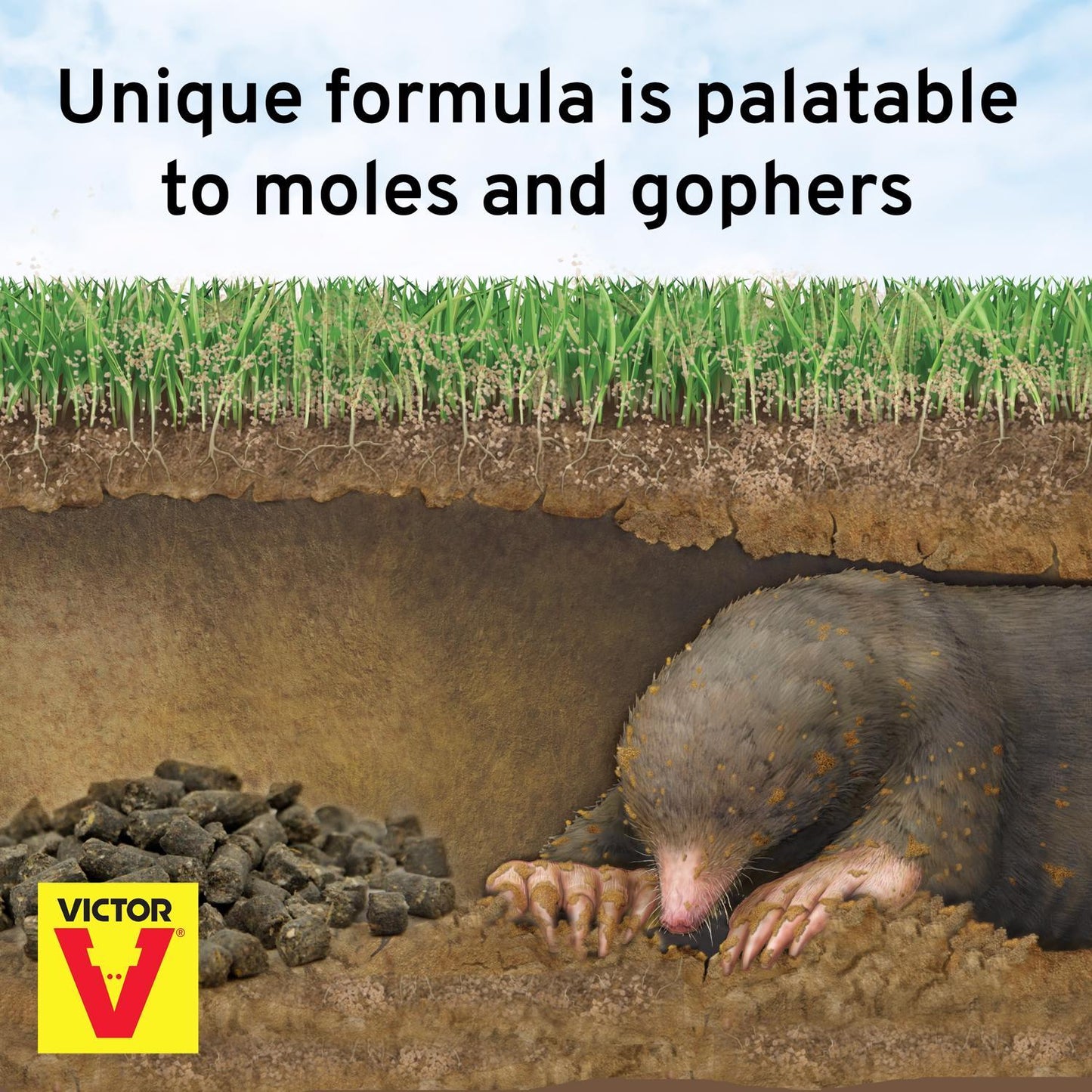  Victor Toxic Poison Peanuts Pellets For Gophers And Moles 6 Oz