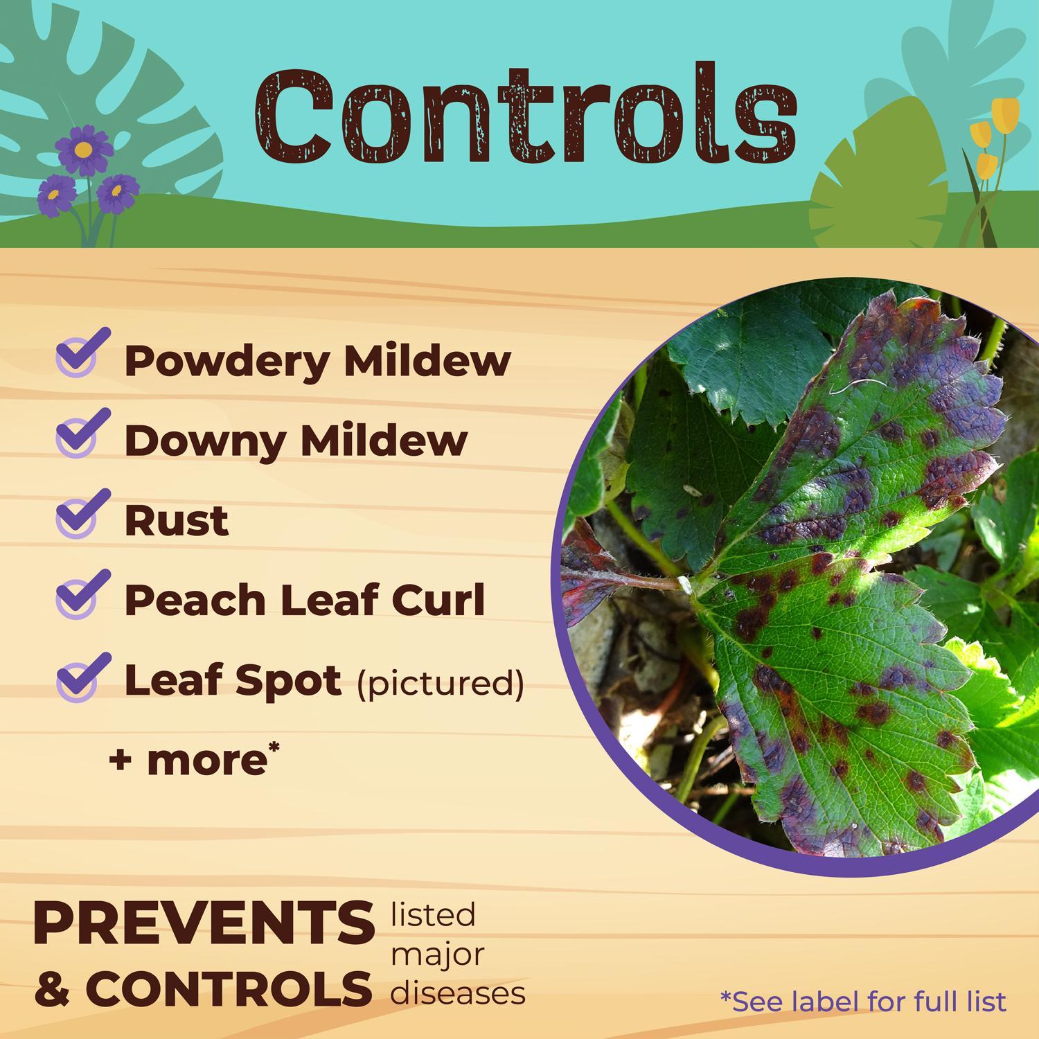  Bonide Captain Jack's Concentrated Liquid Disease And Fungicide Control 16 Oz