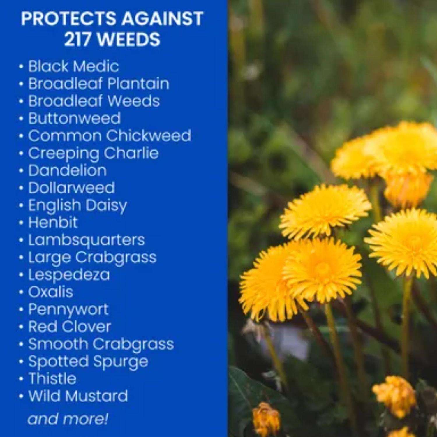  BioAdvanced Weed And Crabgrass Killer Concentrate 40 Oz