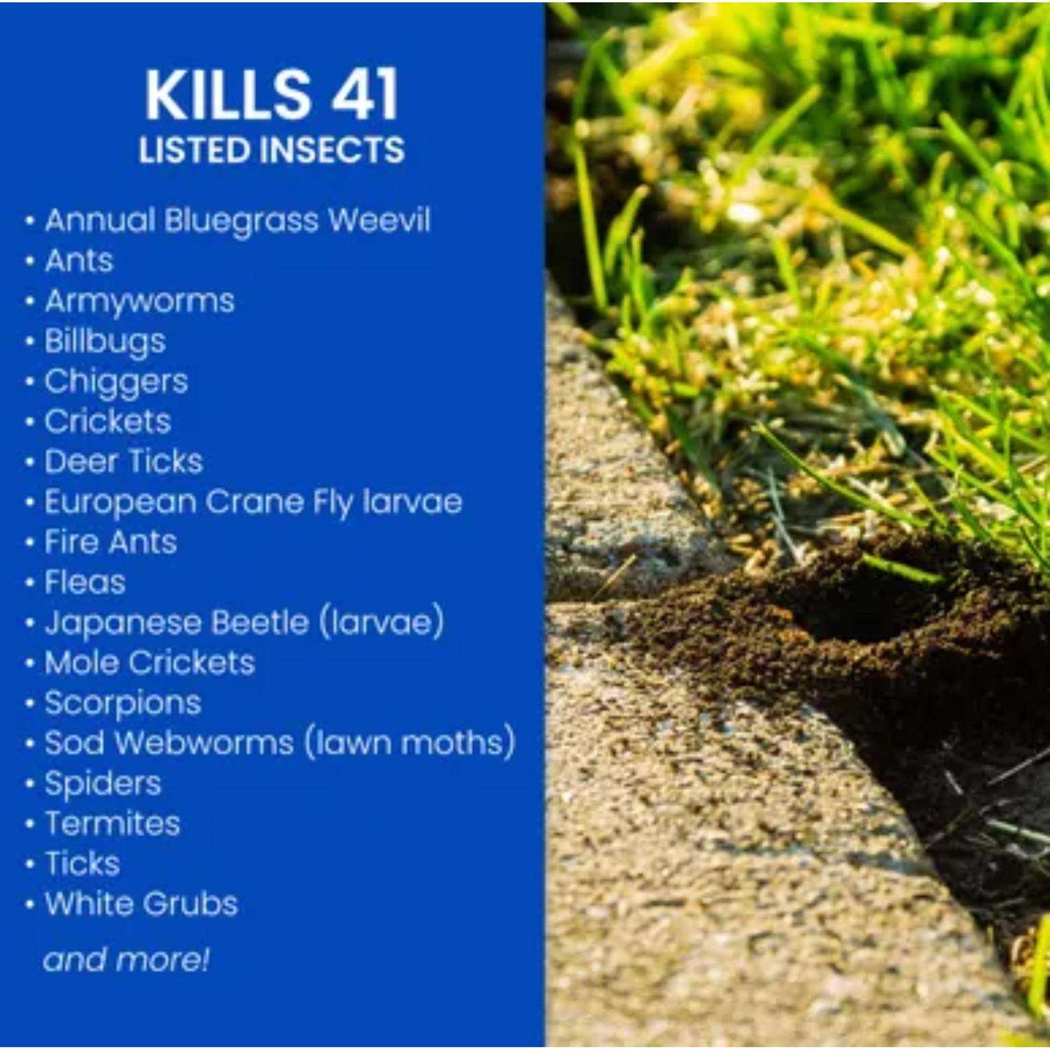  BioAdvanced Complete Insect Killer Granules 10 Lb