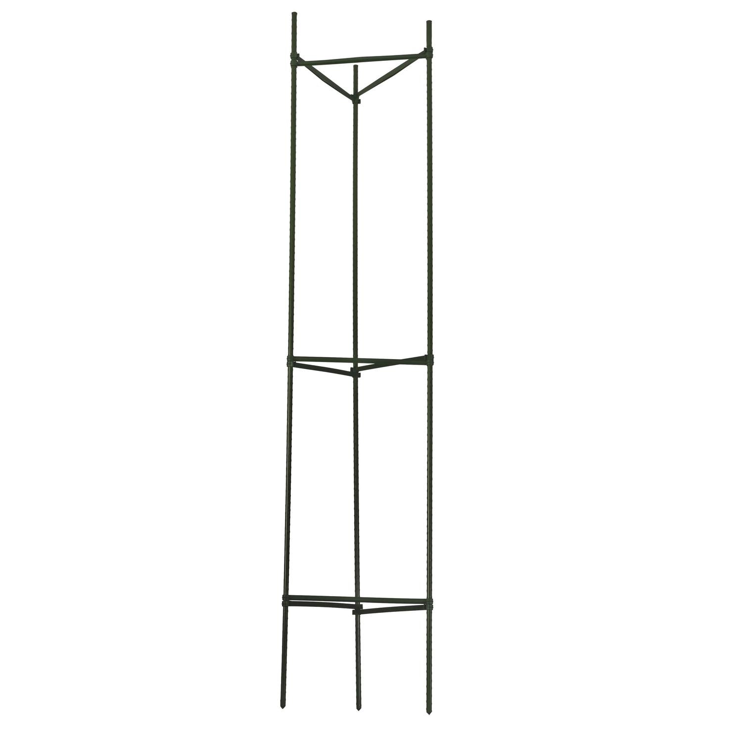  Gardener's Blue Ribbon 60 In. H X 12 In. W Green Steel Tomato Cage