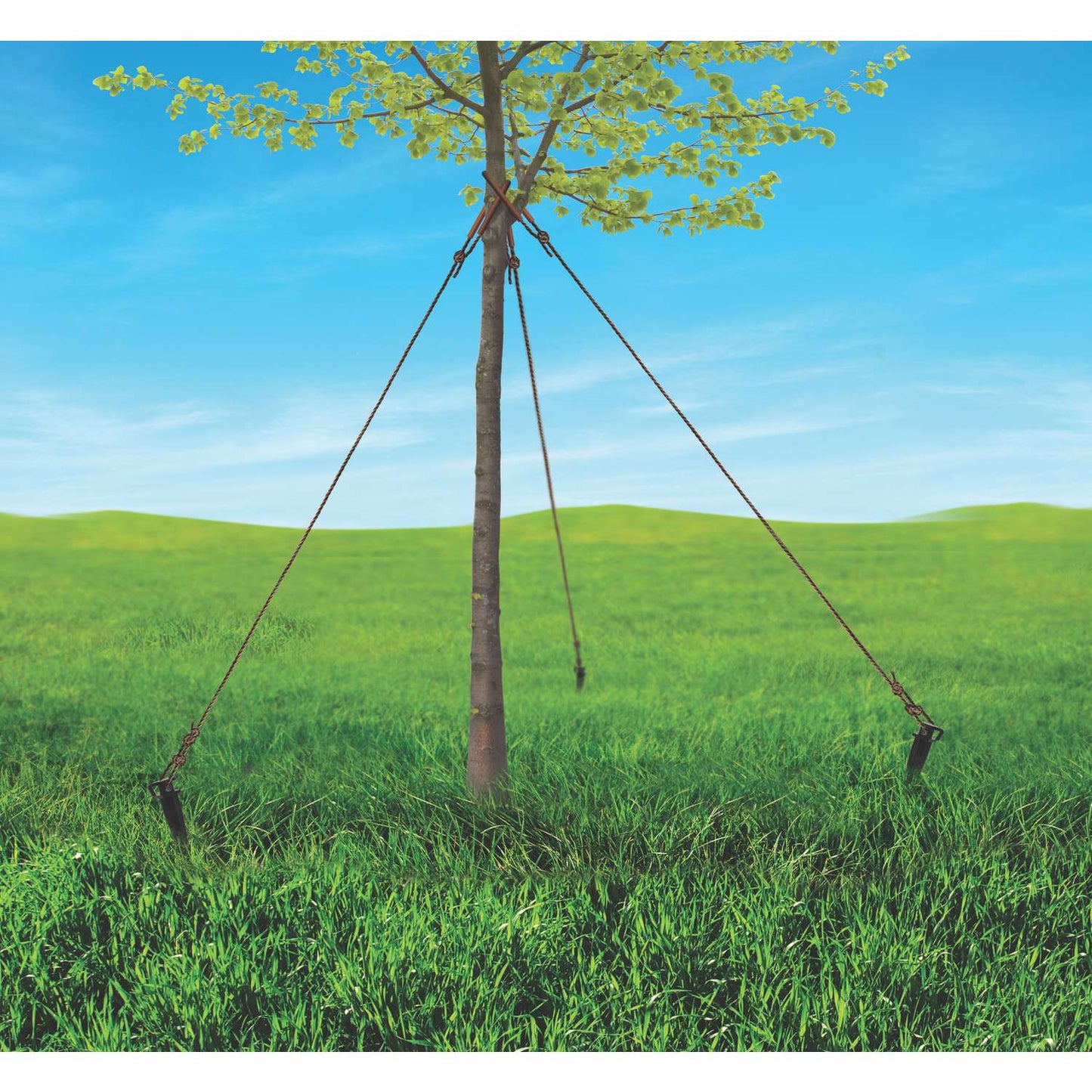  Bond 10 In. H Black Plastic Tree Stakes