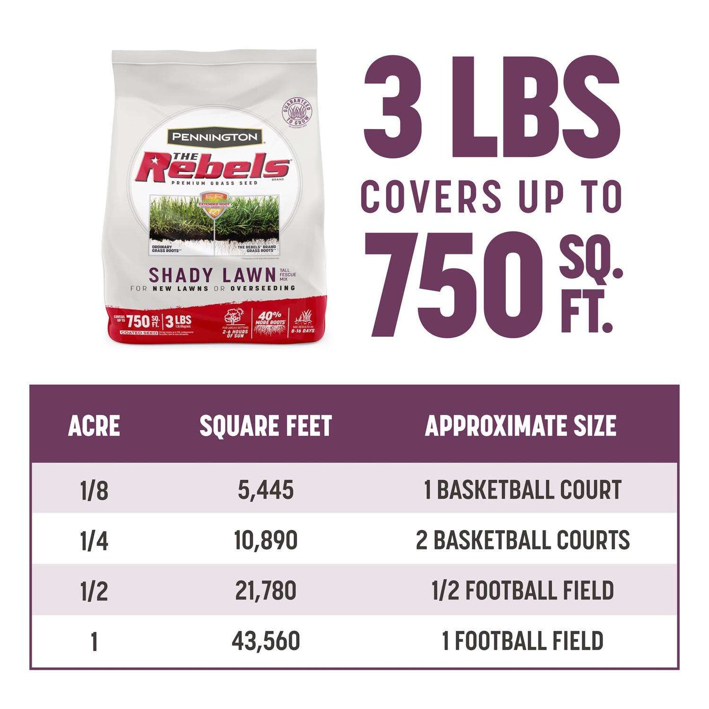  Pennington The Rebels Tall Fescue Grass Dense Shade Grass Seed 3 Lb