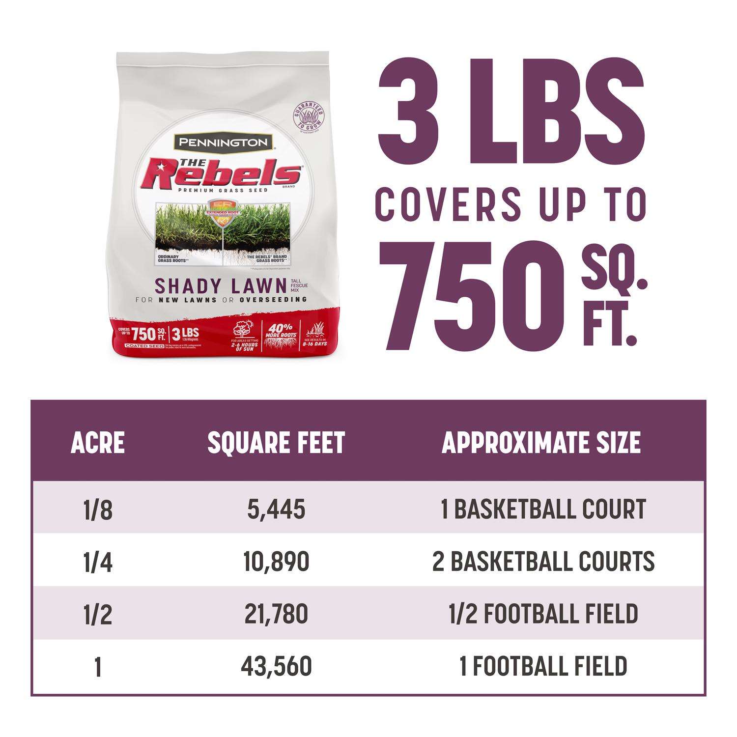  Pennington The Rebels Tall Fescue Grass Dense Shade Grass Seed 3 Lb