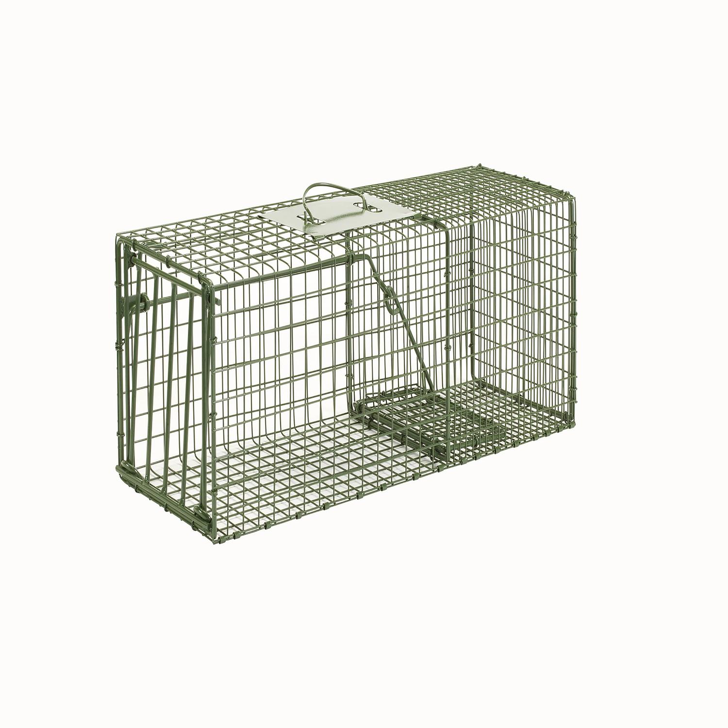 Duke Medium Live Catch Cage Trap For Rabbits 1 Pk