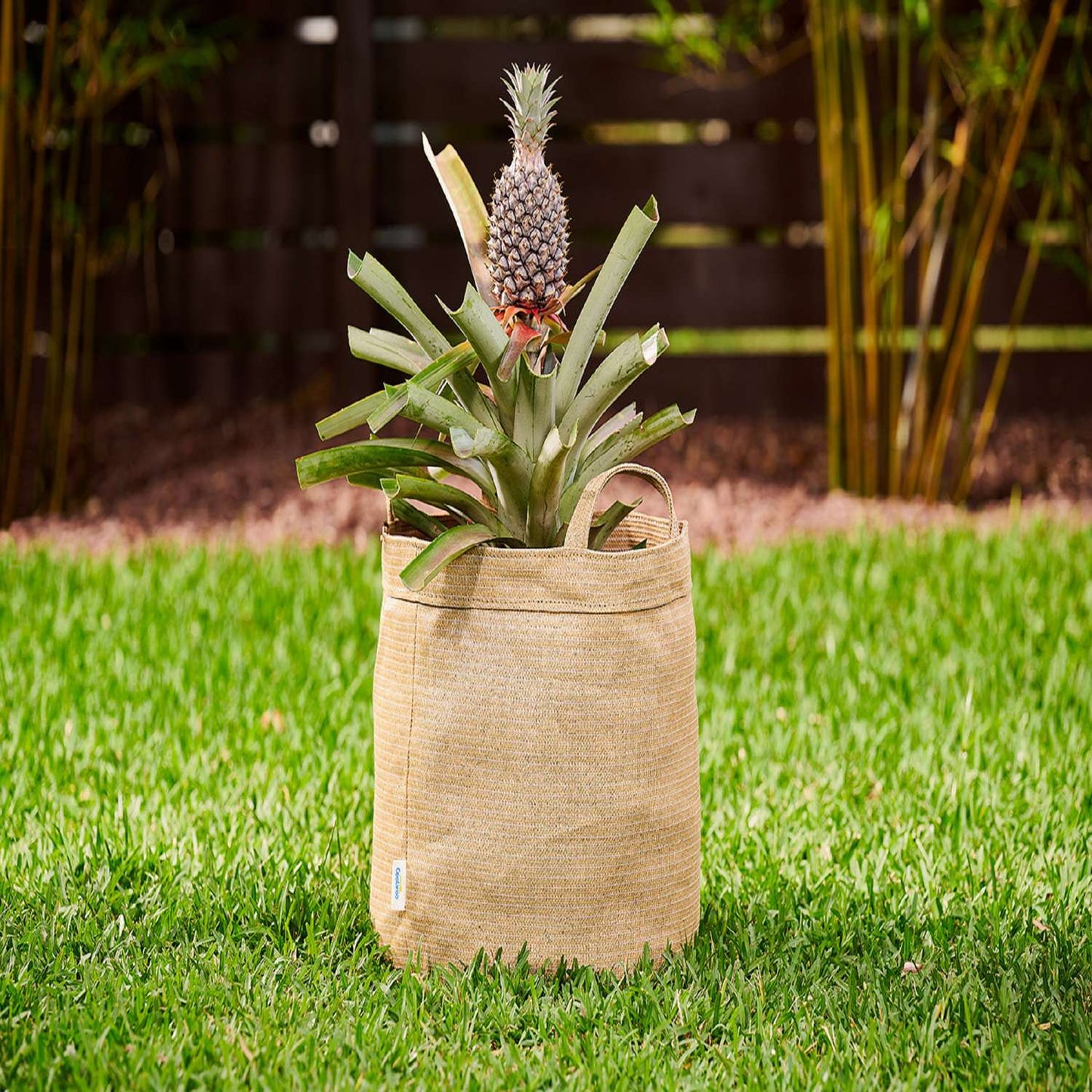  Coolaroo 14 In. H X 15 In. W X 15 In. D X 15 In. D Polyethylene Round Planter Bag Desert Sand