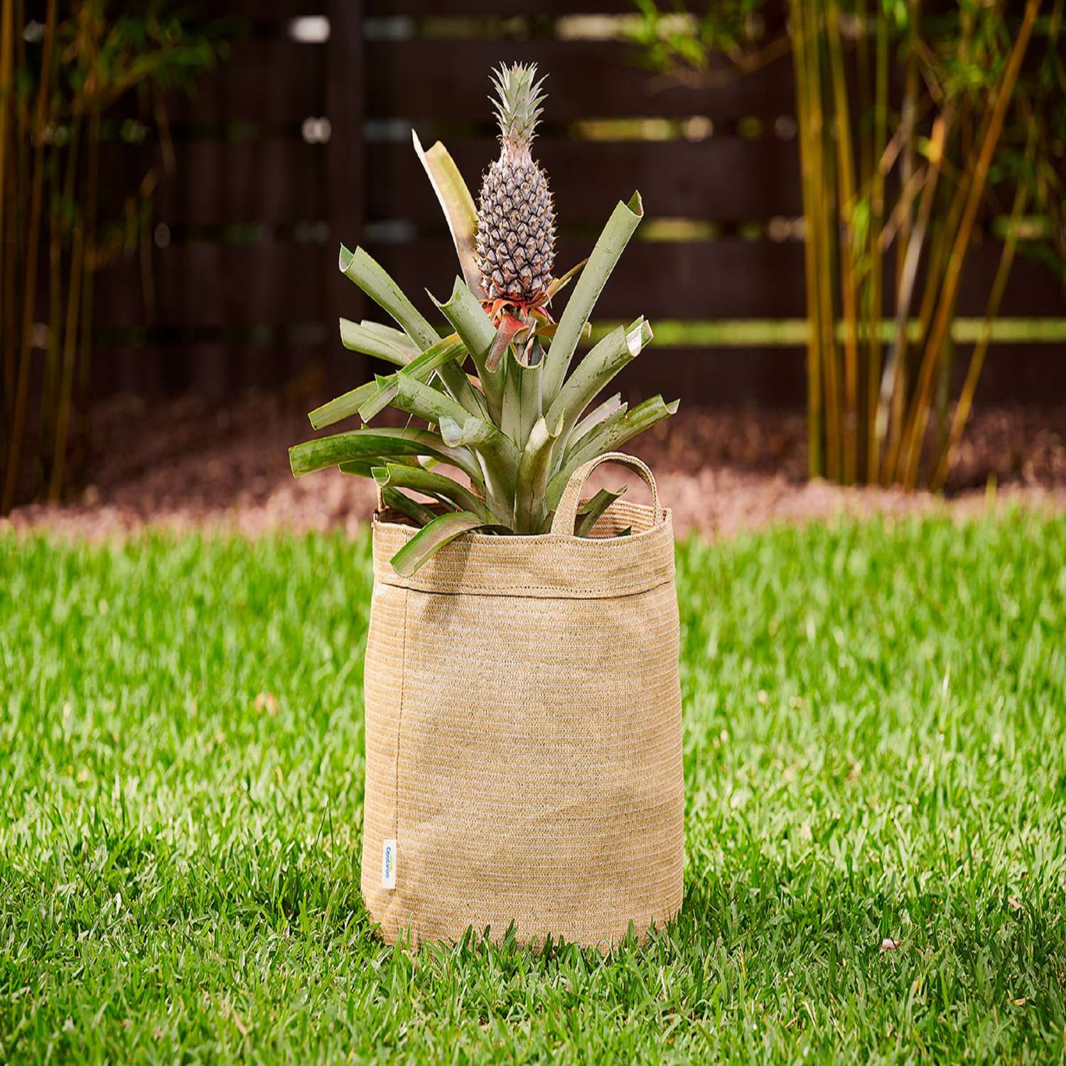  Coolaroo 14 In. H X 15 In. W X 15 In. D X 15 In. D Polyethylene Round Planter Bag Desert Sand
