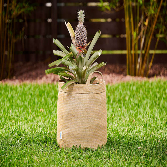  Coolaroo 14 In. H X 15 In. W X 15 In. D X 15 In. D Polyethylene Round Planter Bag Desert Sand