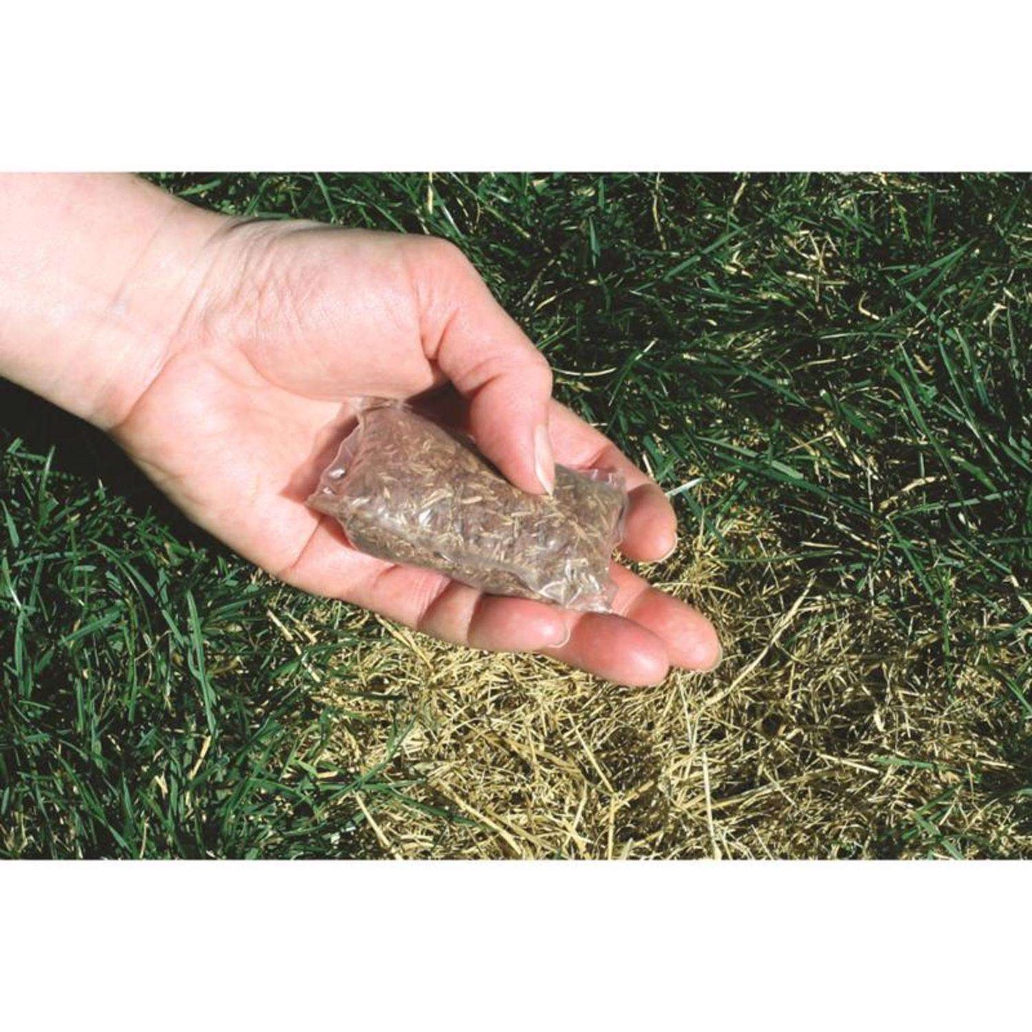  Ace Rapid Repair Pod Tall Fescue Grass Sun Or Shade Fertilizer/Mulch/Seed 15 Oz