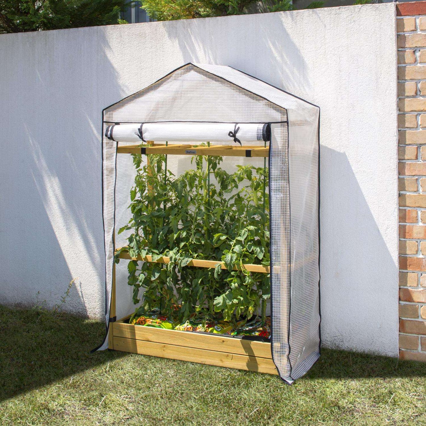  VegTrug Tomato Greenhouse Natural 65.7 In. H X 43.7 In. W Greenhouse