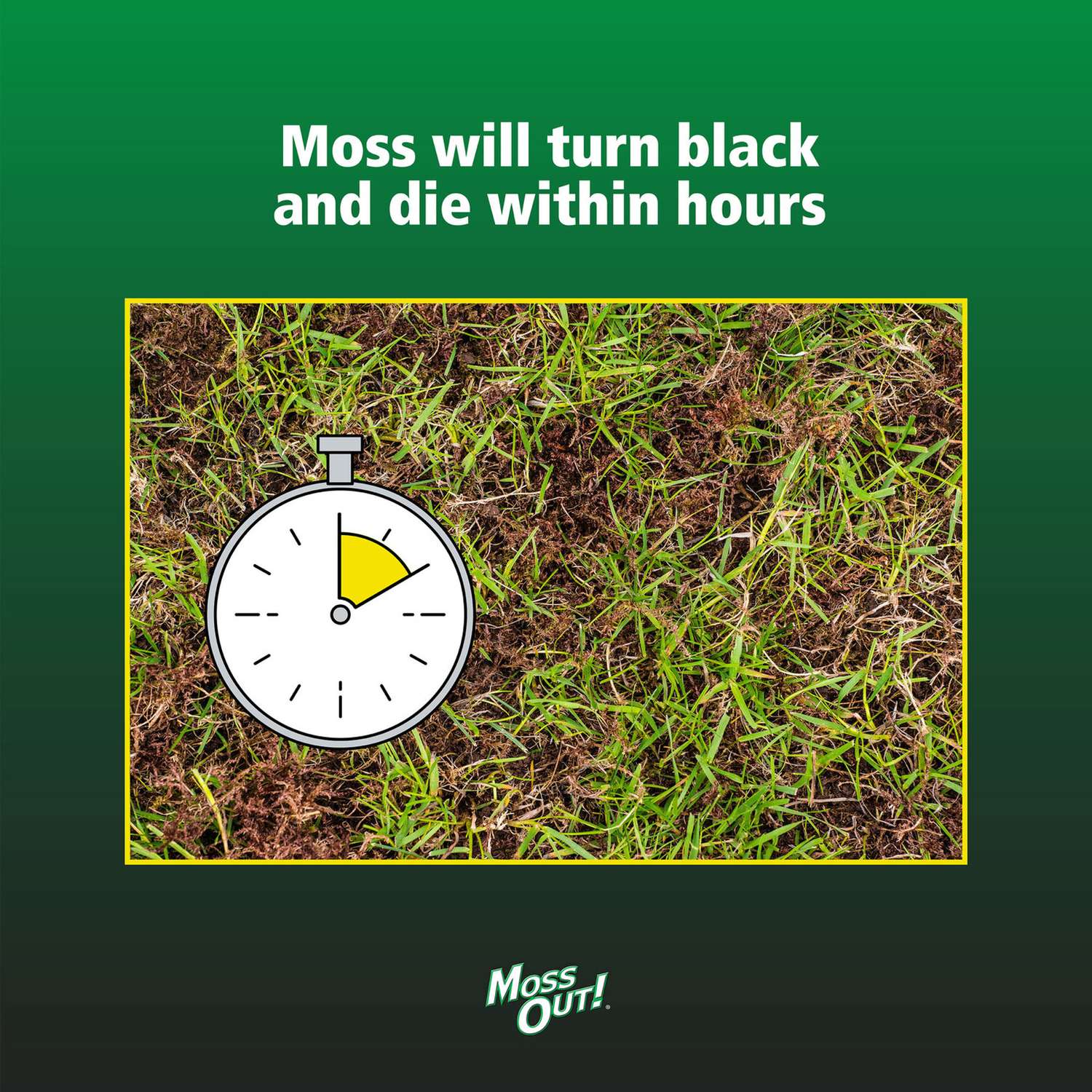  Lilly Miller Hose 'n Go Moss Out Moss Control Concentrate 32 Oz