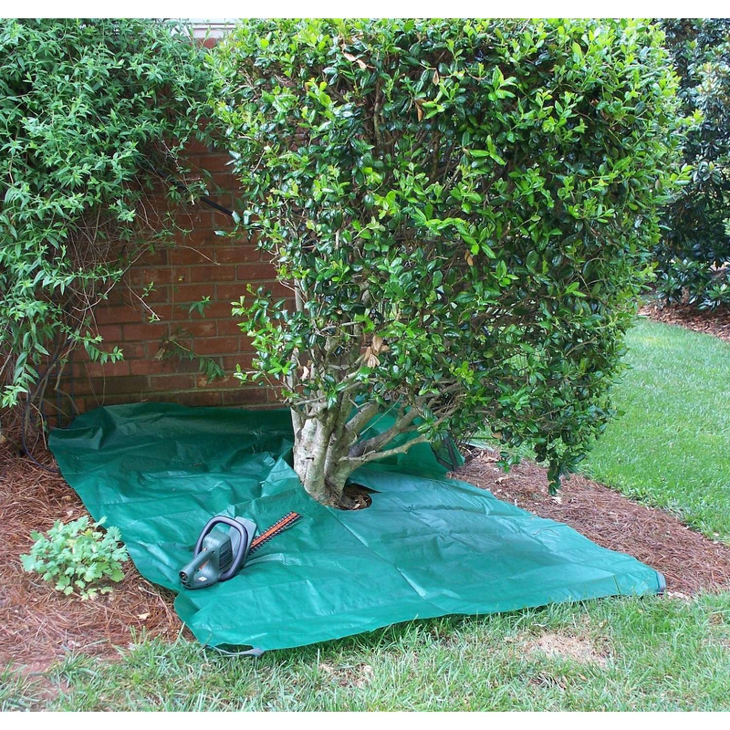  Bosmere 84 In. Pruning Drop Cloth
