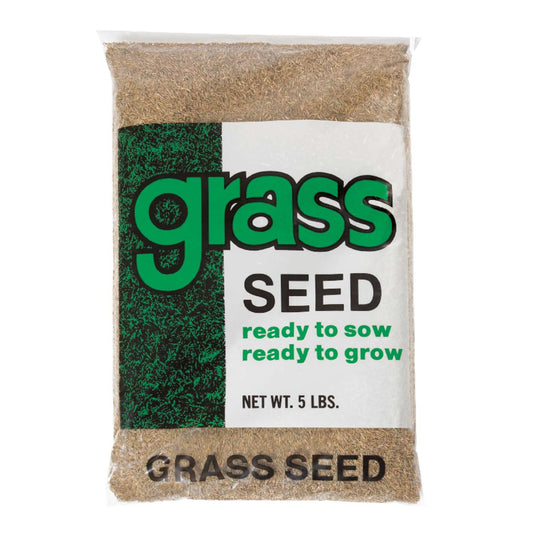 Barenbrug Annual Ryegrass Partial Shade/Sun Grass Seed 5 Lb