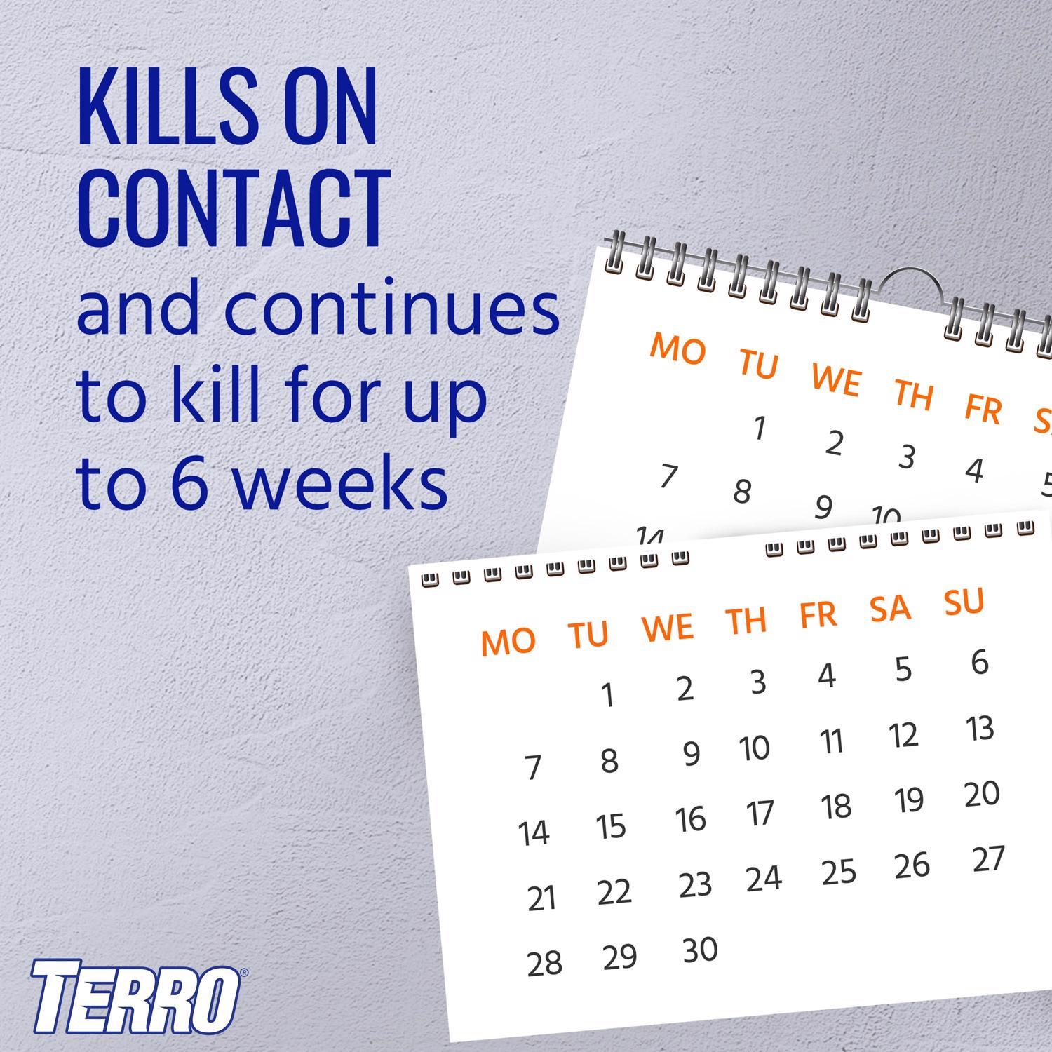  TERRO Ant Killer Liquid 16 Oz