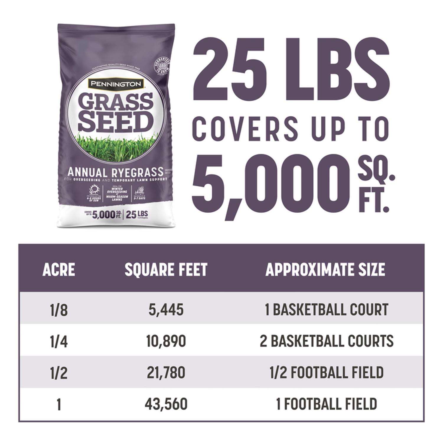  Pennington Annual Ryegrass Sun Or Shade Grass Seed 25 Lb