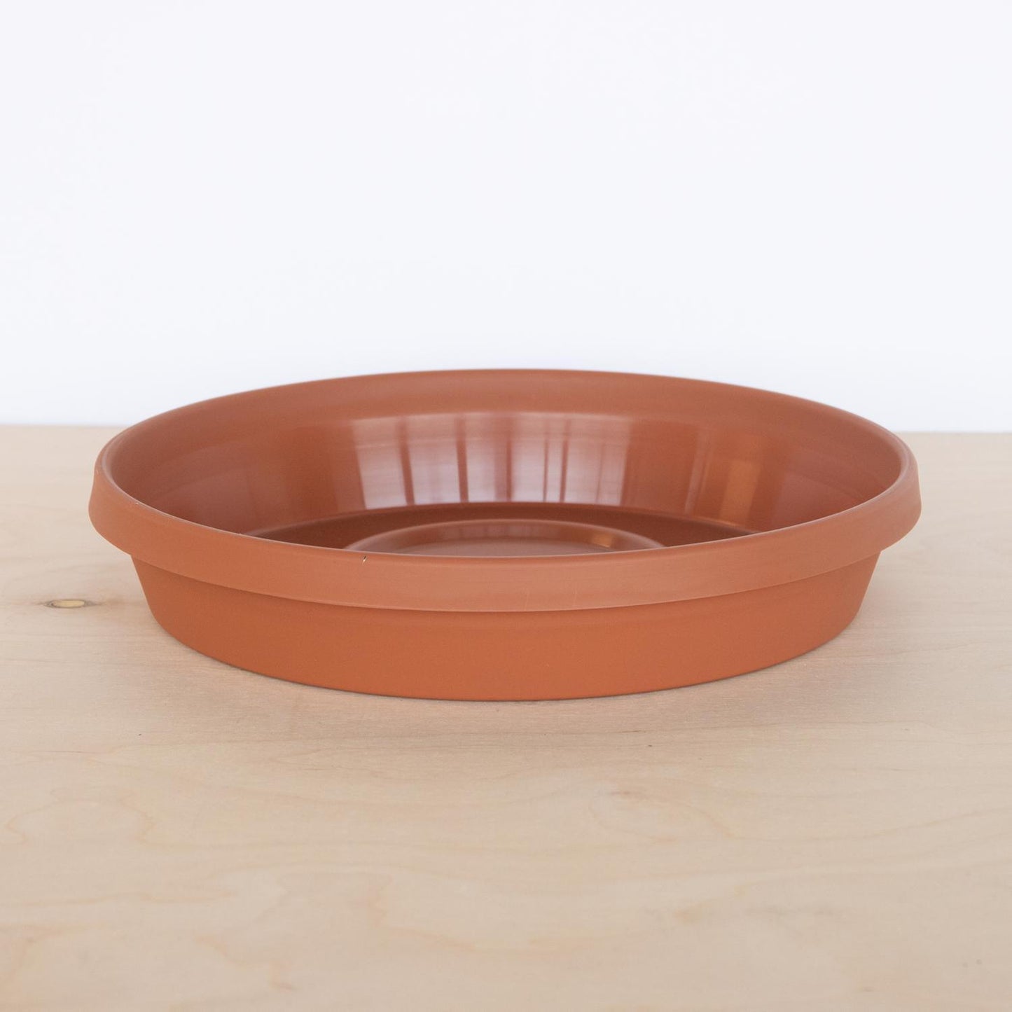  Bloem Terratray 2.7 In. H X 20 In. Dia. Resin Traditional Tray Terracotta Clay