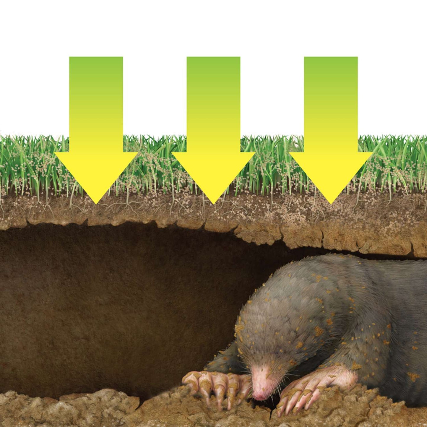  Victor Animal Repellent Granules For Gophers And Moles 4 Lb