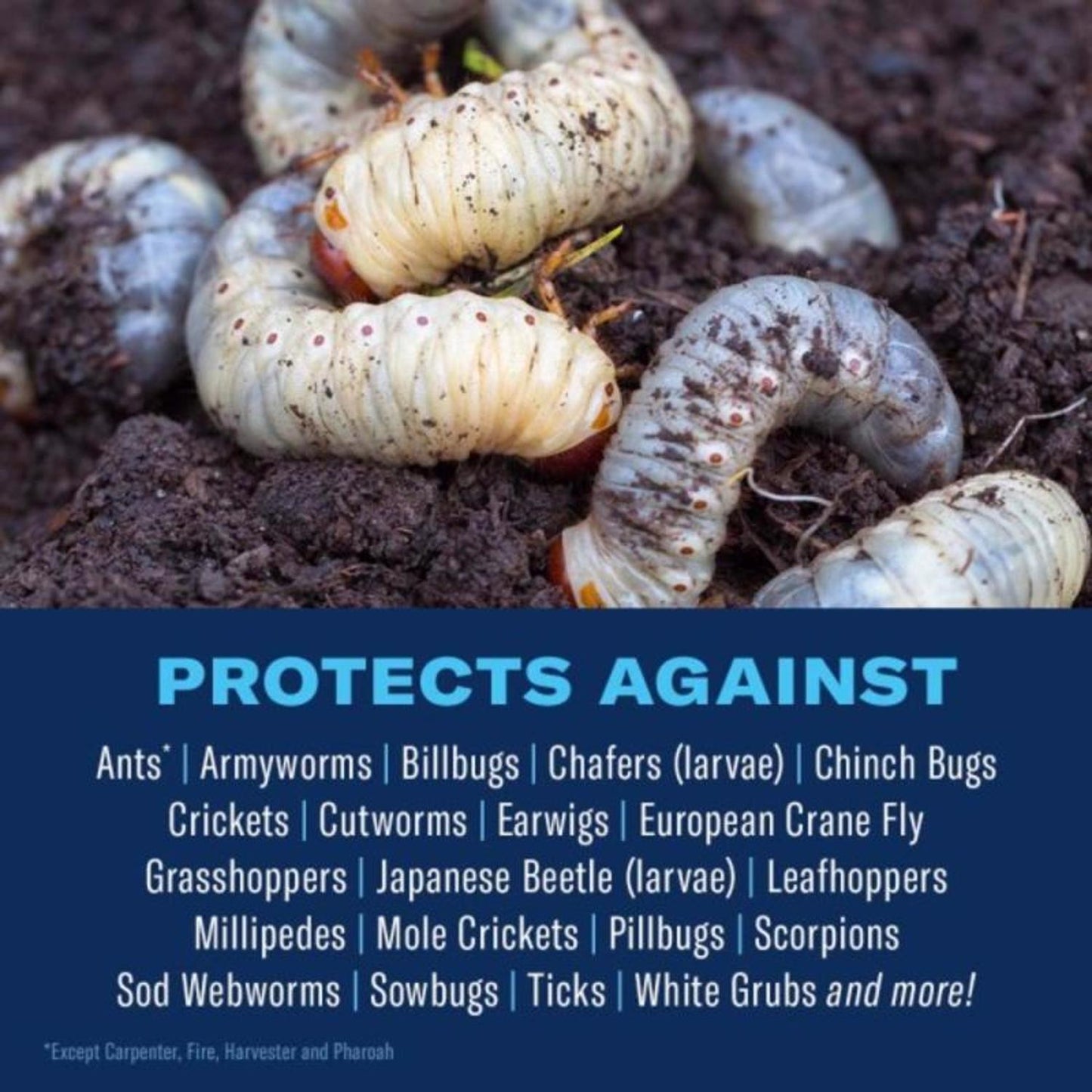  BioAdvanced 24 Hour Grub And Insect Control Granules 10 Lb