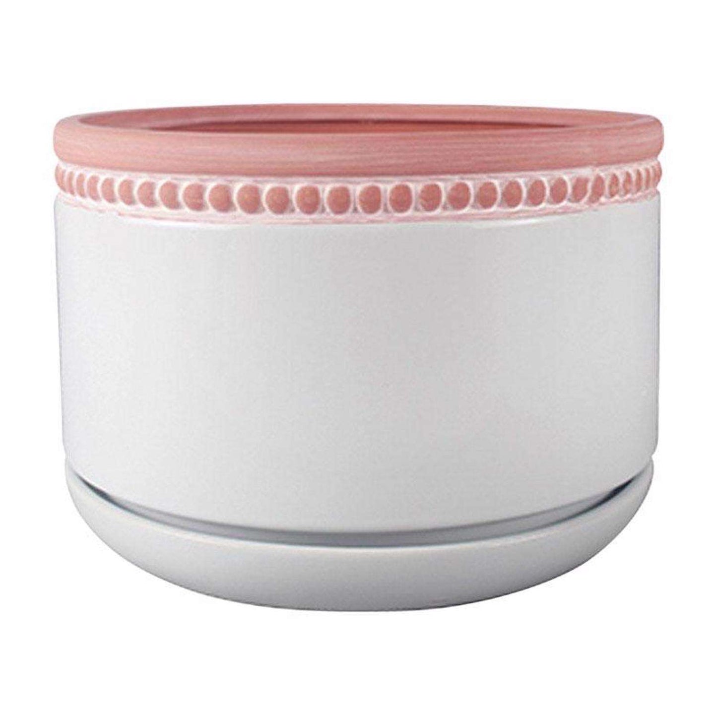  Trendspot Ada 4.5 In. H X 6 In. W X 6 In. D X 6 In. D Ceramic Ceramic Pot Whitewash