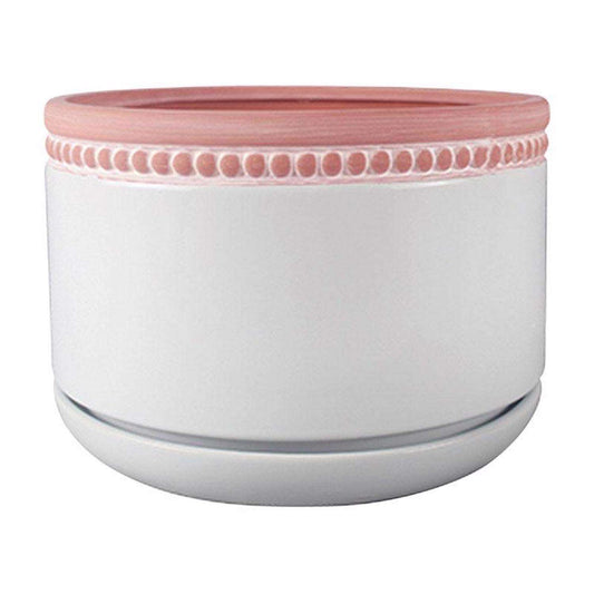  Trendspot Ada 4.5 In. H X 6 In. W X 6 In. D X 6 In. D Ceramic Ceramic Pot Whitewash