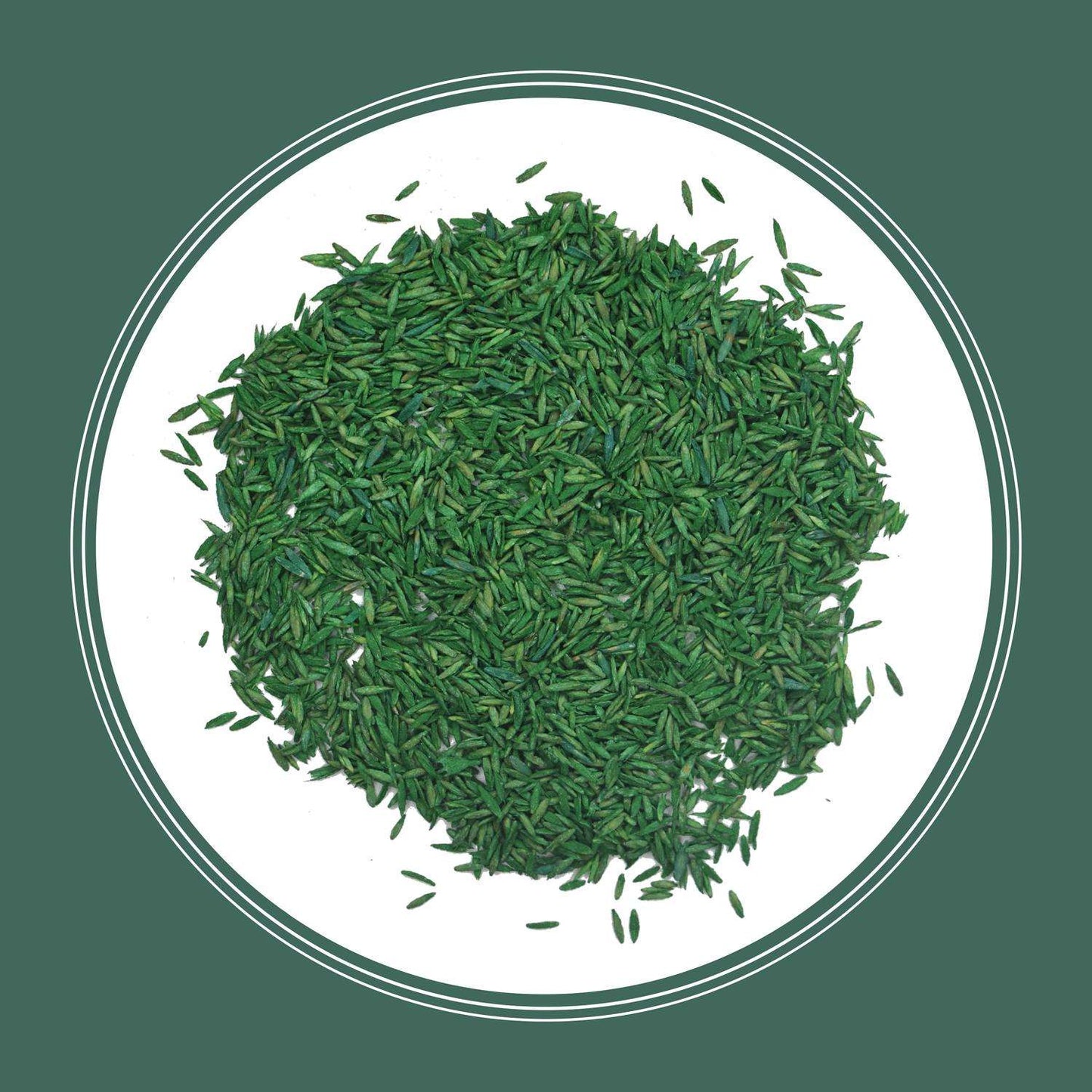  Pennington Kentucky 31 Tall Fescue Grass Sun Or Shade Grass Seed 20 Lb