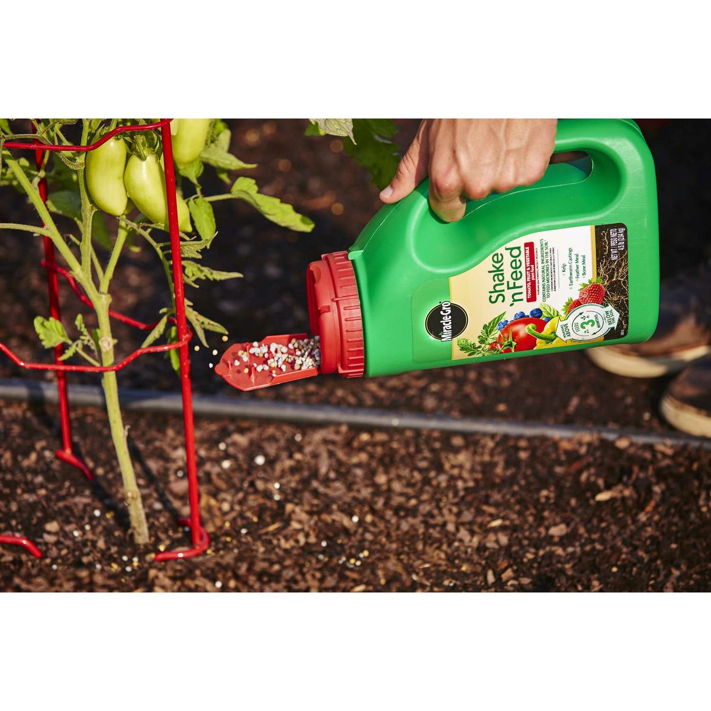  Miracle-Gro Shake 'n Feed Granules Plant Food 4.5 Lb