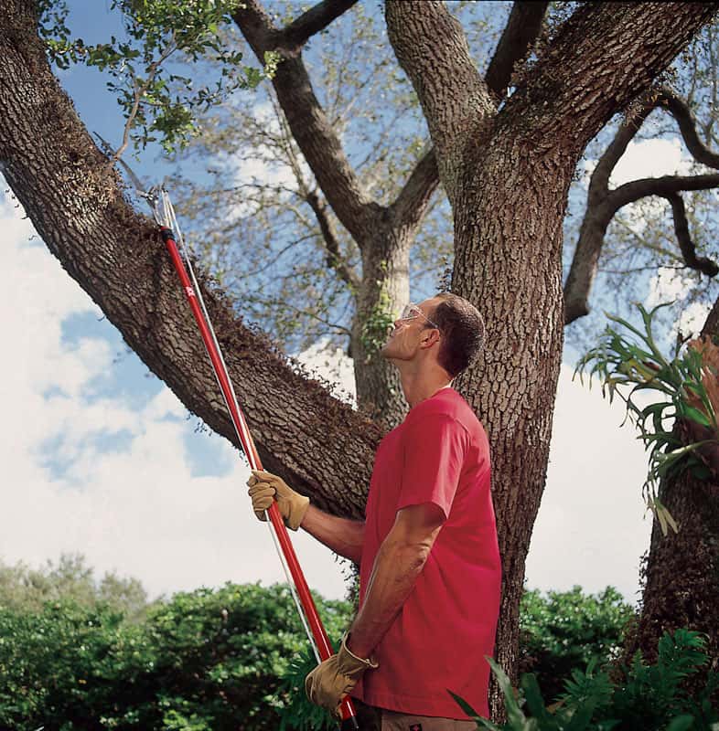  Corona 12 Ft. Steel Curved Tree Pruner
