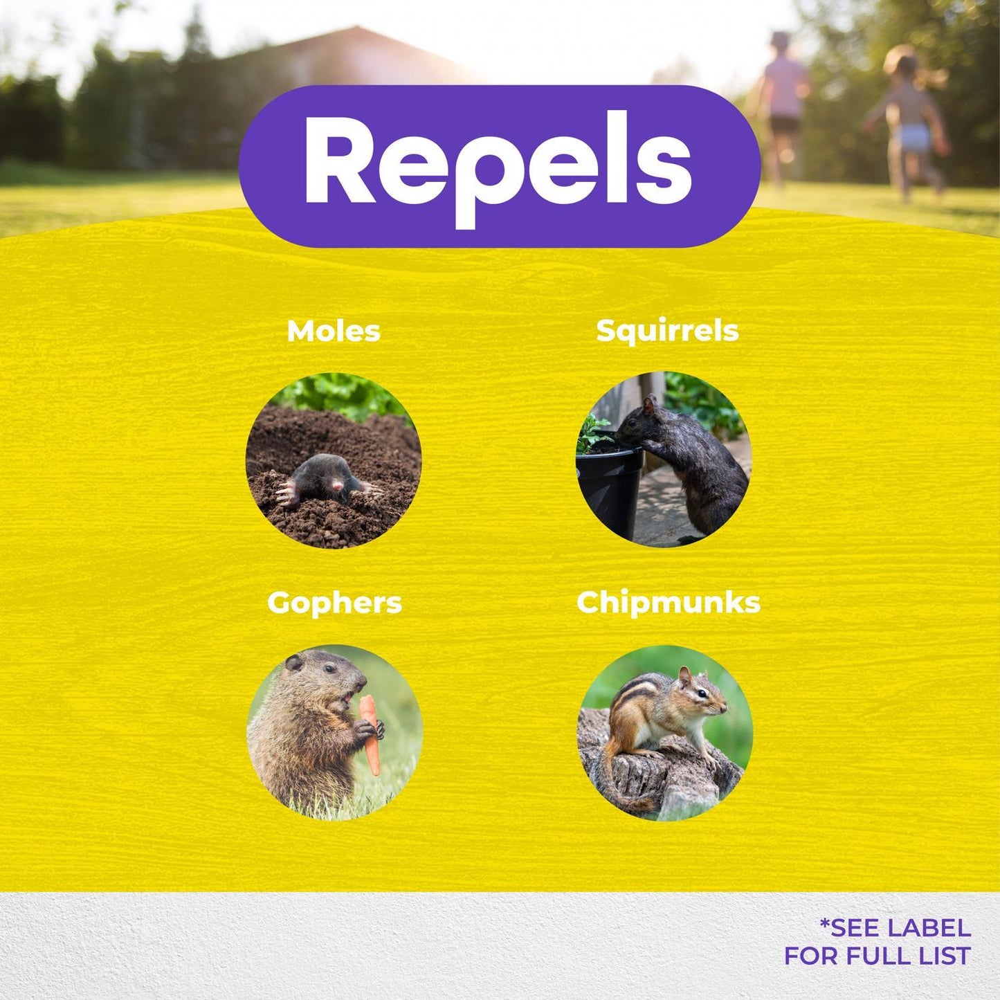  Bonide MoleMax Animal Repellent Stake For Gophers And Moles 1 Each