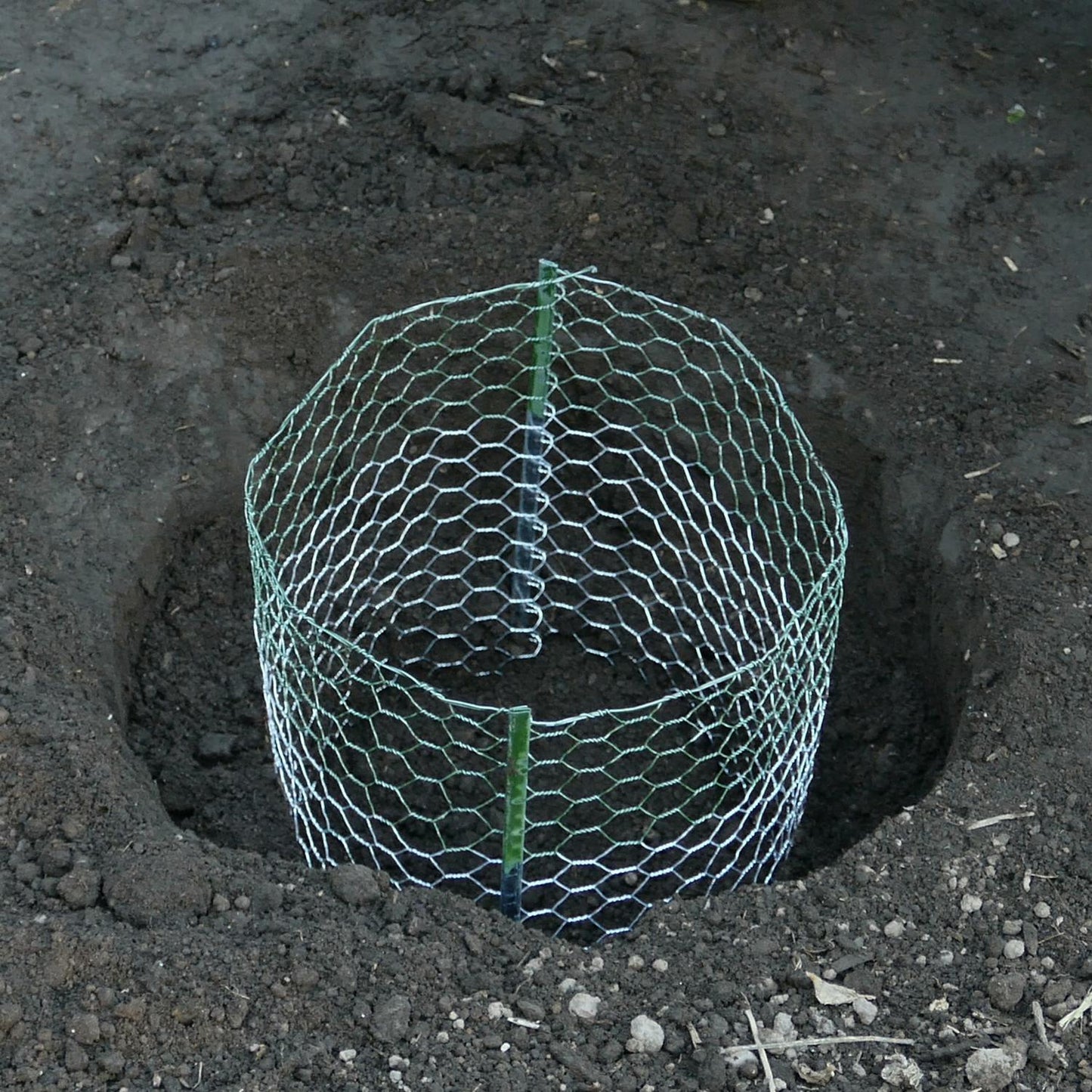  Digger's Root Guard 13.5 In. H X 13 In. W X 0.3 In. D Silver Coated Wire Gopher Wire Basket