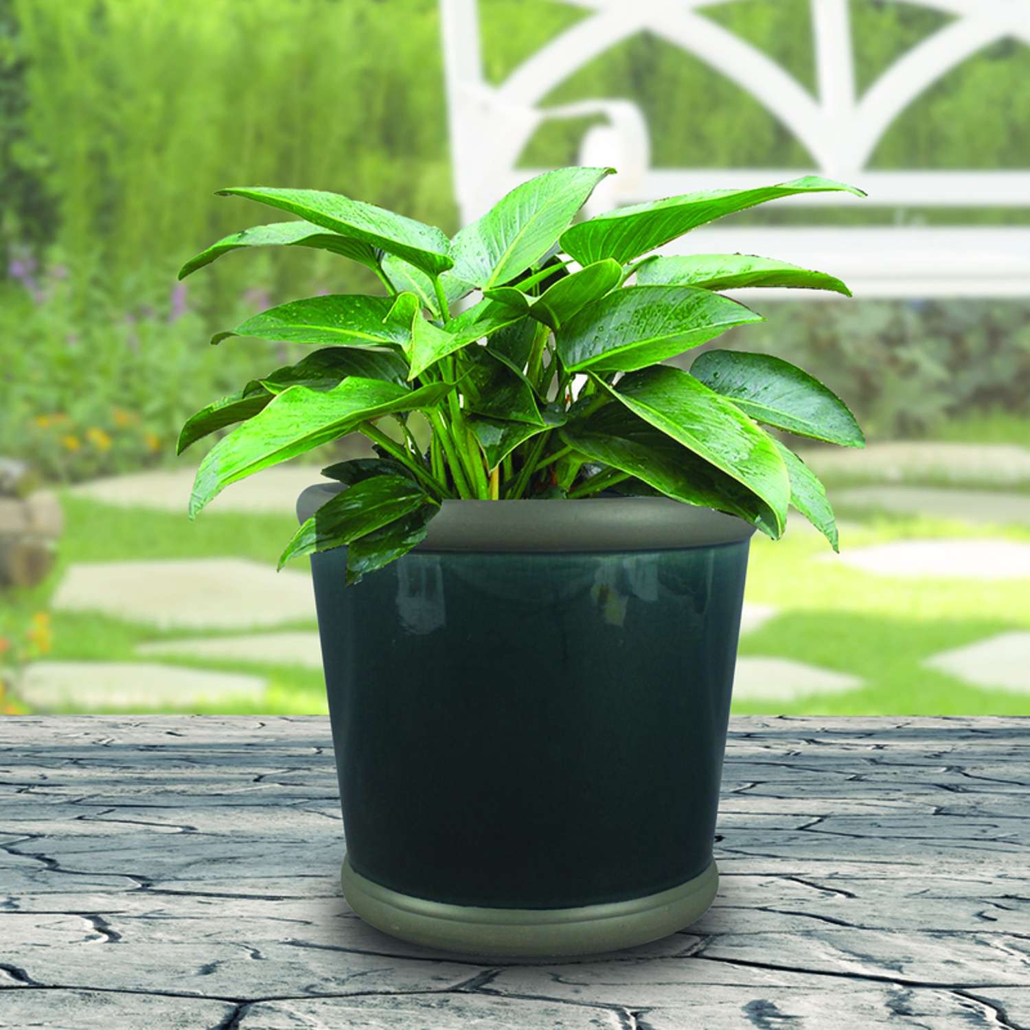  Trendspot Belleville 8.5 In. H X 9.5 In. W X 9.5 In. D Ceramic Planter Blue