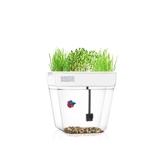  Back To The Roots Water Garden Assorted Flower And Herb Grow Kit 1 Pk