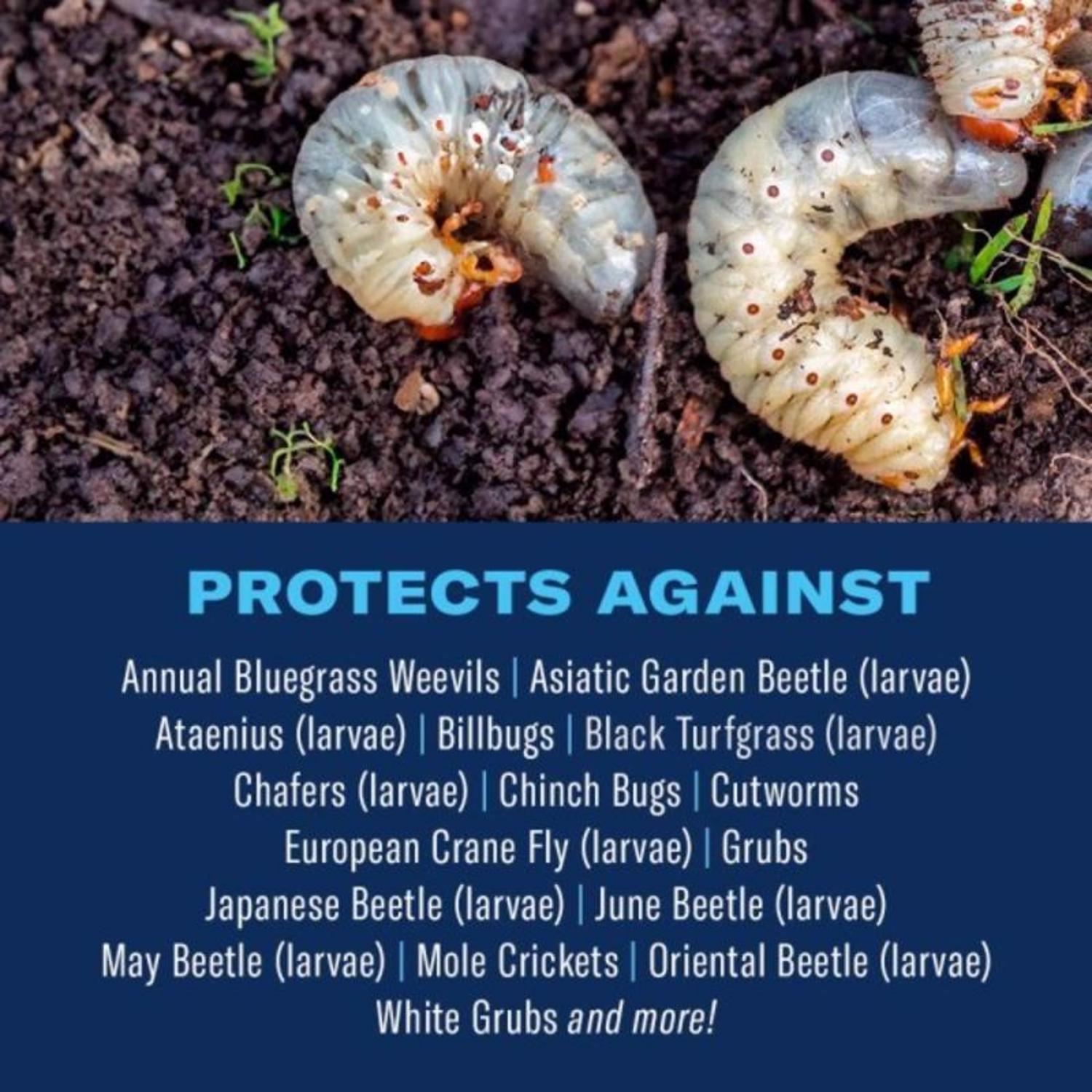  BioAdvanced Season Long Grub Control Plus Turf Revitalizer Granules 12 Lb