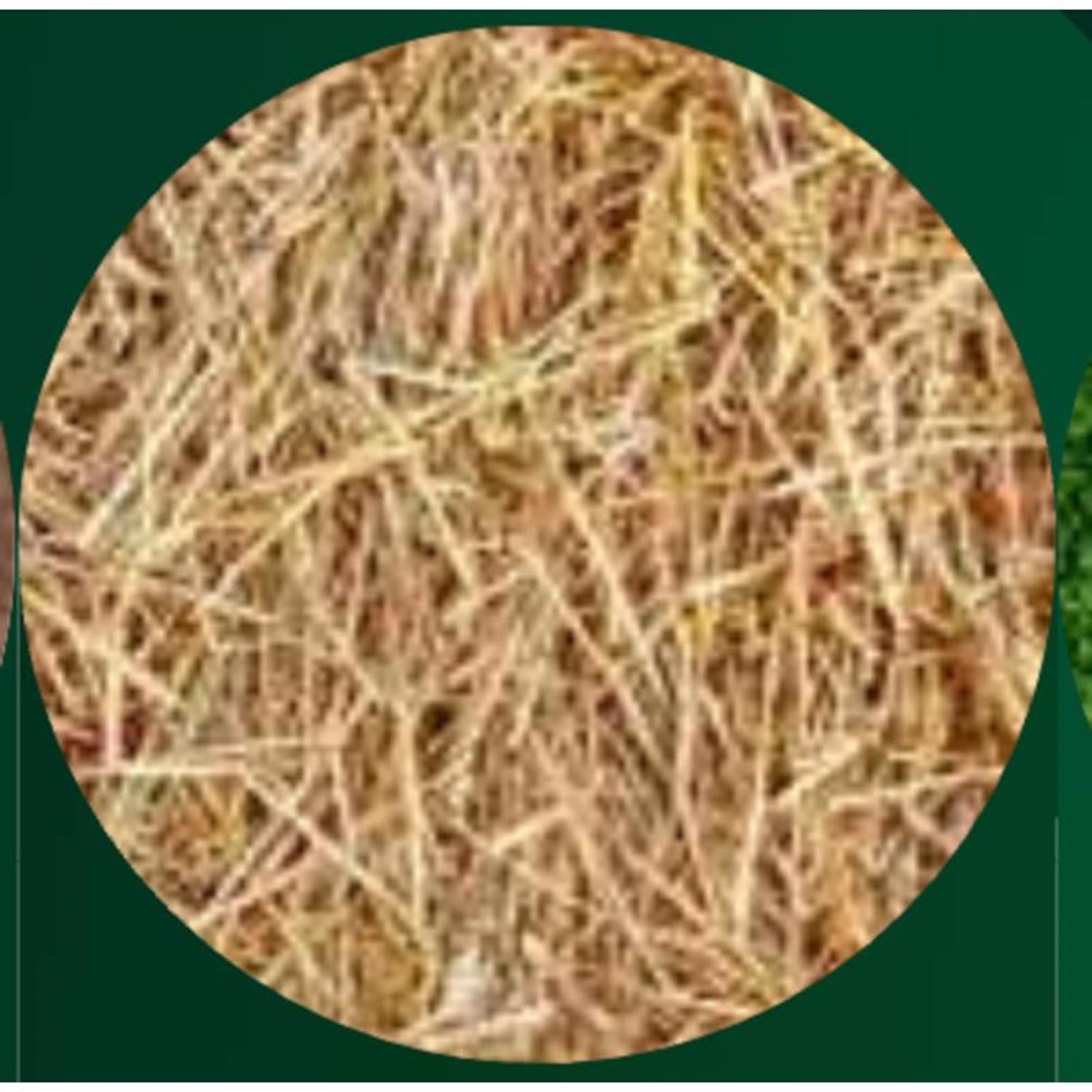  Rhino Seed EZ-Straw Natural Straw Seeding Mulch 2.5 Cu Ft