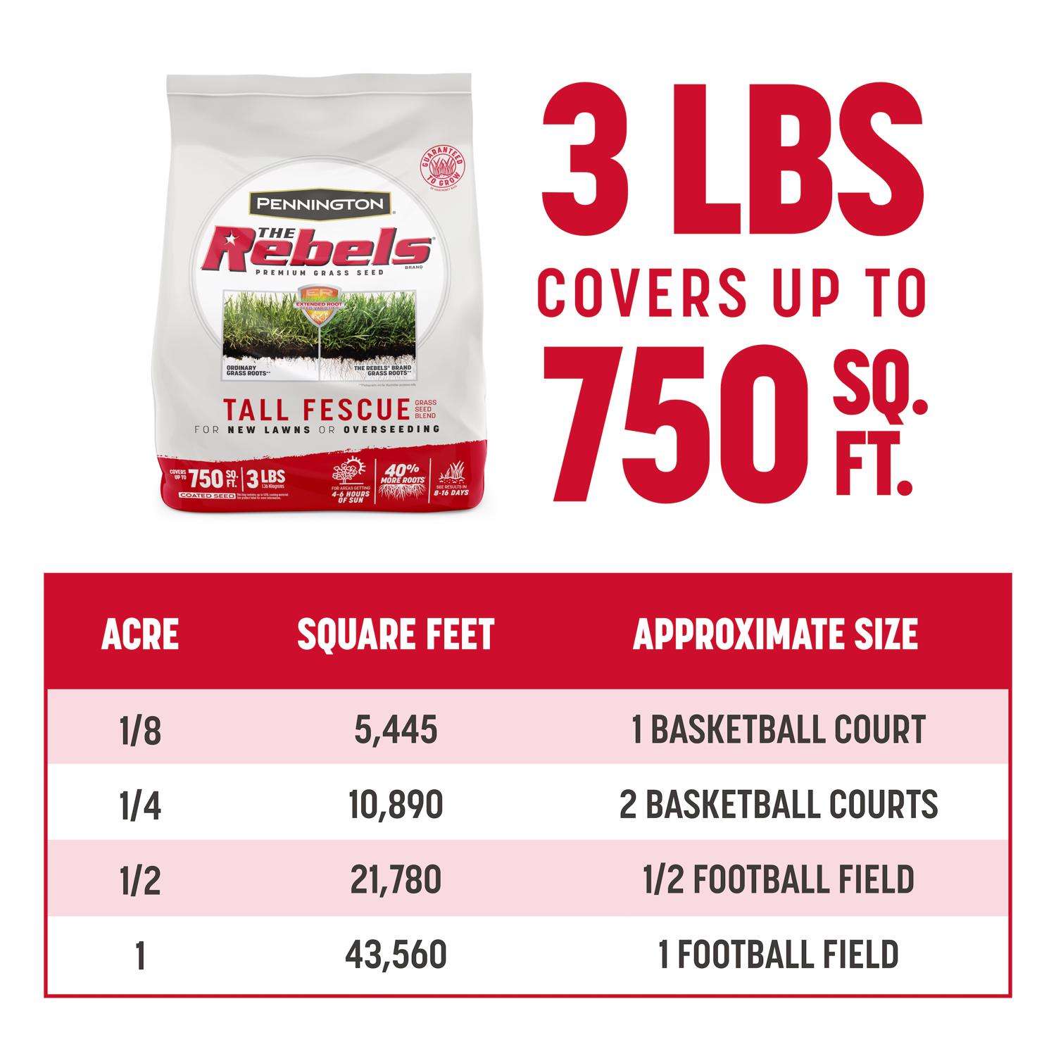 Pennington The Rebels Tall Fescue Grass Sun Or Shade Grass Seed 3 Lb
