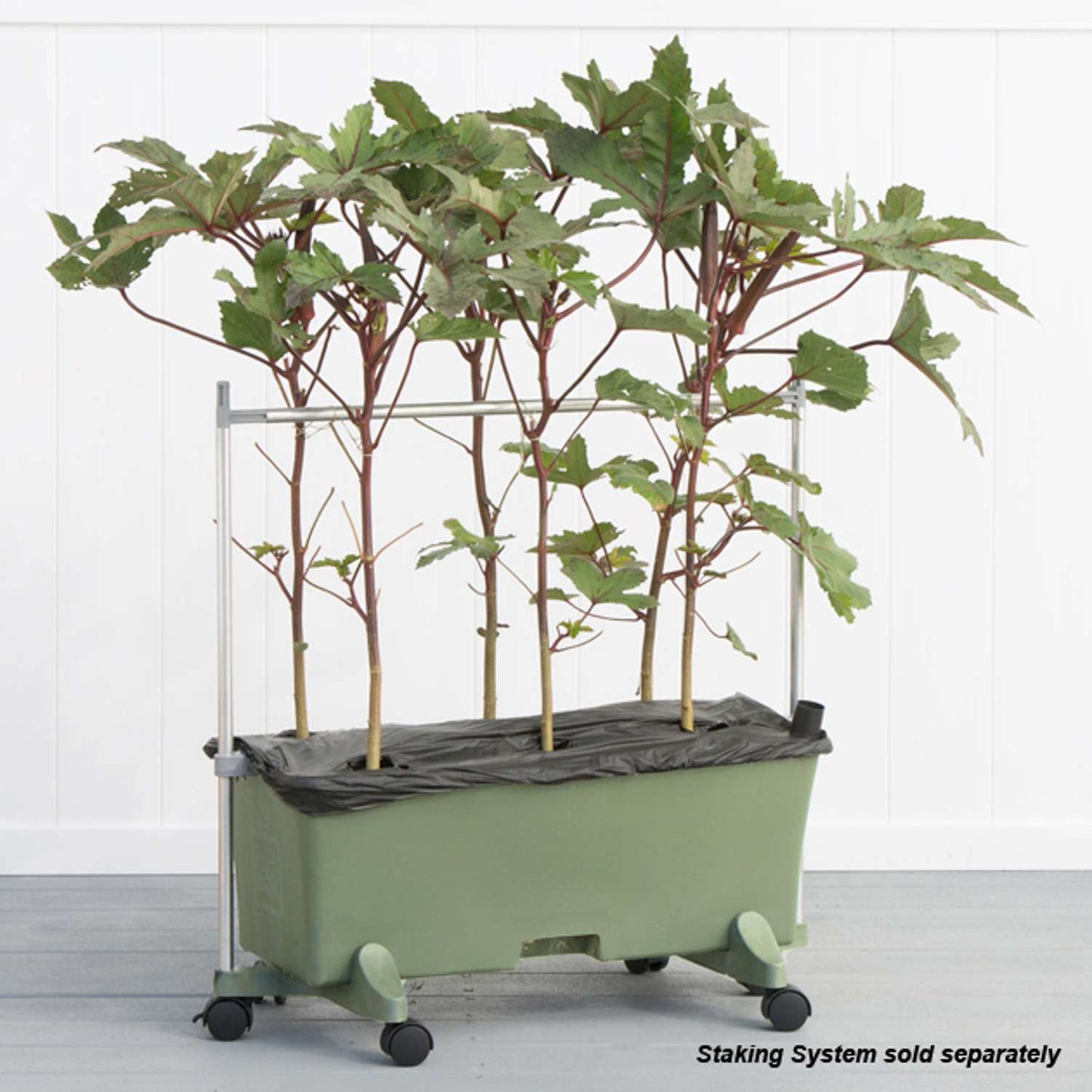  EarthBOX 60 In. H X 22 In. W X 32 In. D Green Plastic Plant Staking System