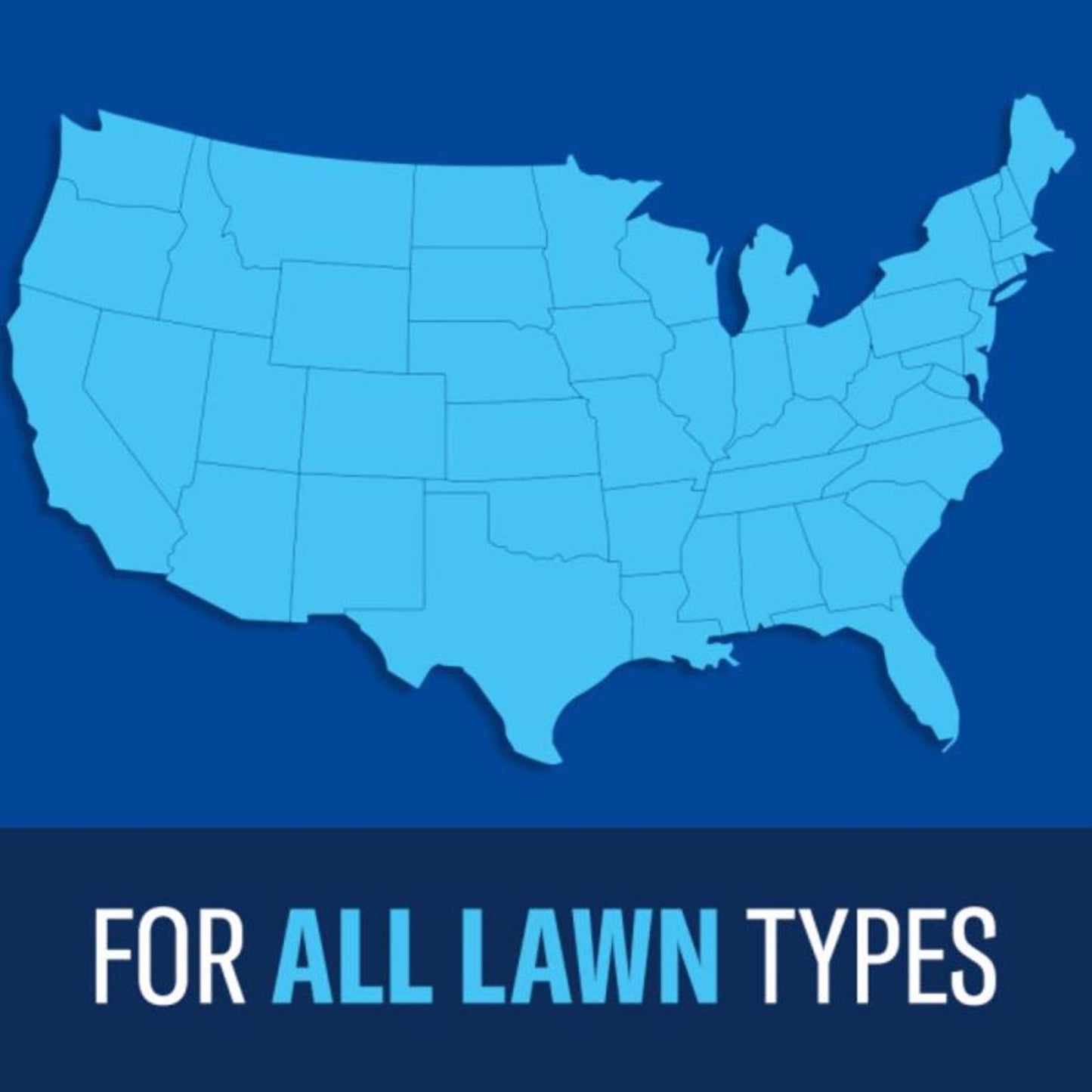  BioAdvanced Ready-to-Spray Liquid Fungus Control For Lawns 32 Oz